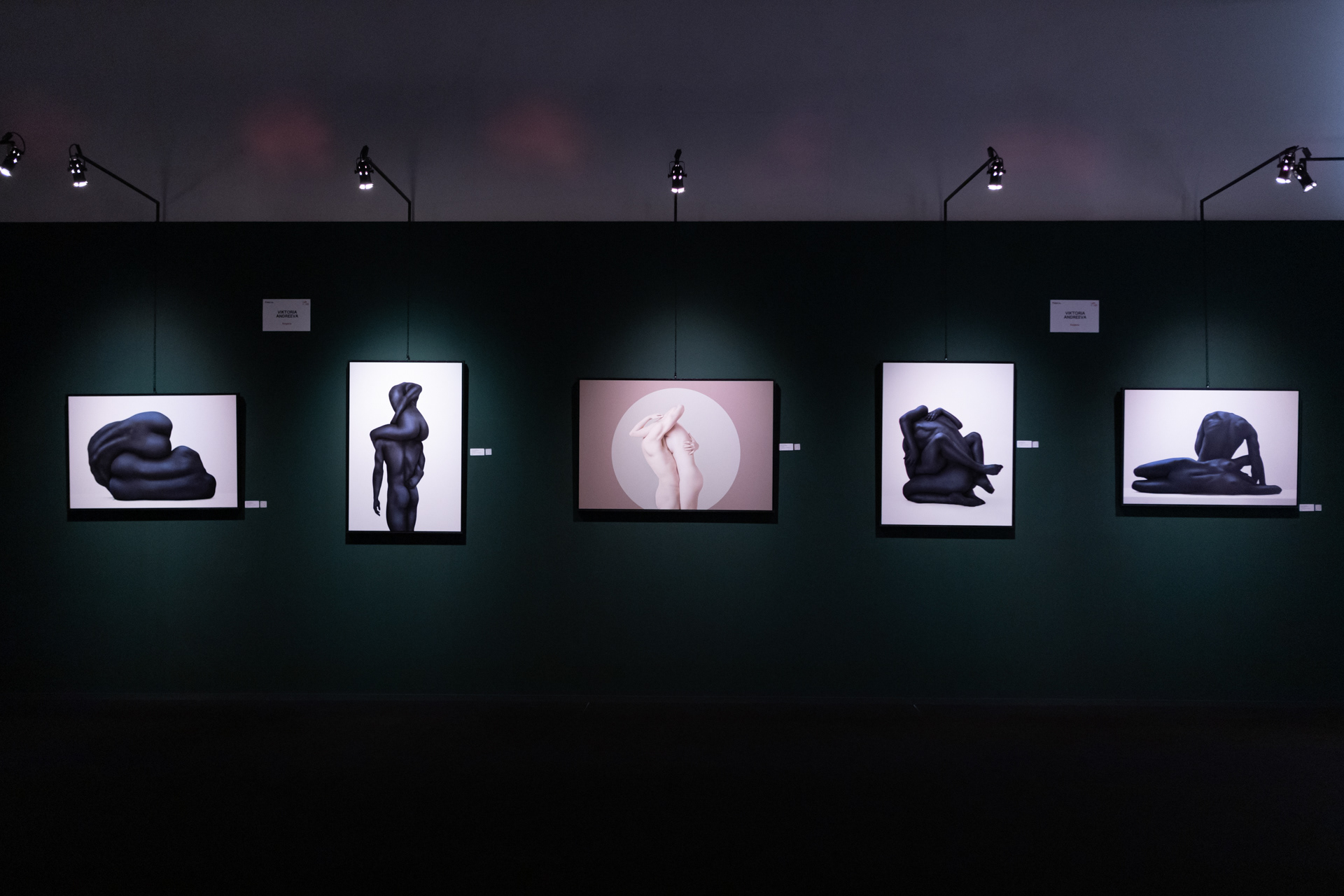"I am You" - Exhibition of the Winners of XIV Florence Biennale at Accademie delle Arti del Disegno, Florence, Italy