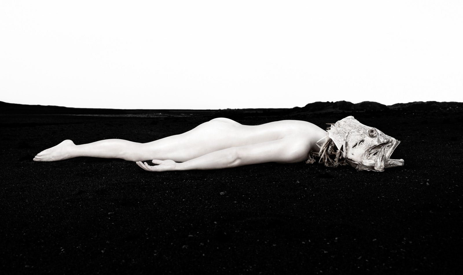 Artwork title: "Serranidae" / "Passengers" is a photographic series that explores metamorphosis, transience, and the connection between humans and the natural world. At its core, the project reflects on the vulnerability of life itself, ultimately questioning the role we, as a society, play in preserving our surroundings.