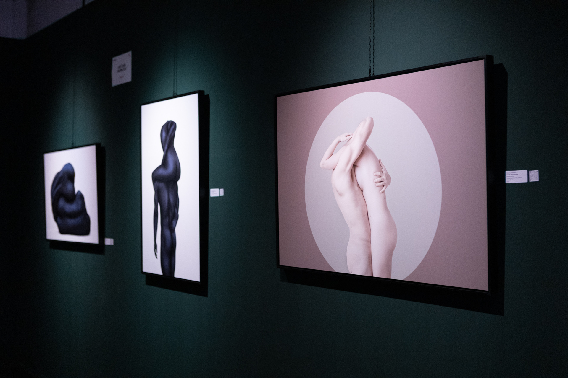 "I am You" - Exhibition of the Winners of XIV Florence Biennale at Accademie delle Arti del Disegno, Florence, Italy