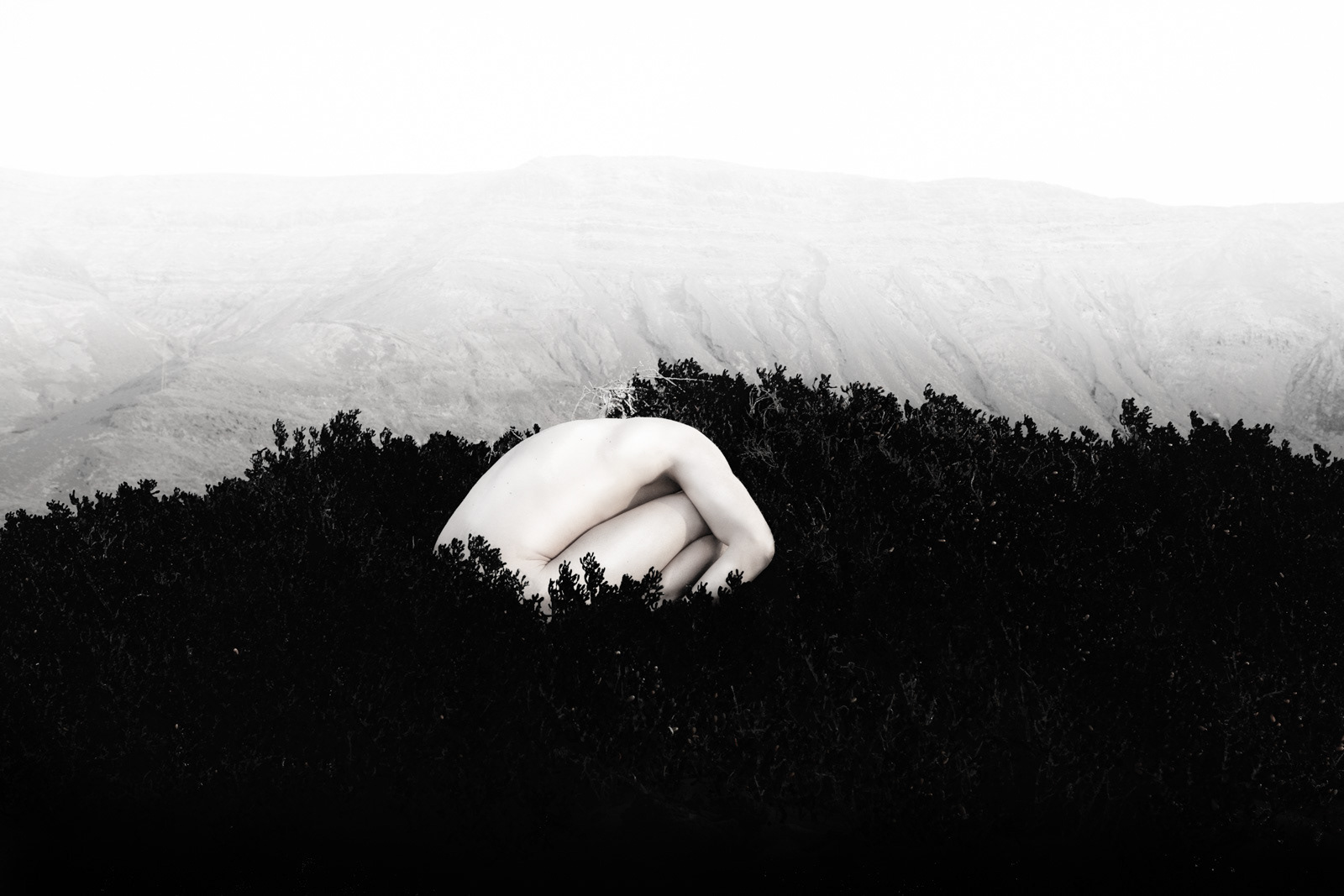 "Passengers" is a photographic series that explores metamorphosis, transience, and the connection between humans and the natural world. At its core, the project reflects on the vulnerability of life itself, ultimately questioning the role we, as a society, play in preserving our surroundings.