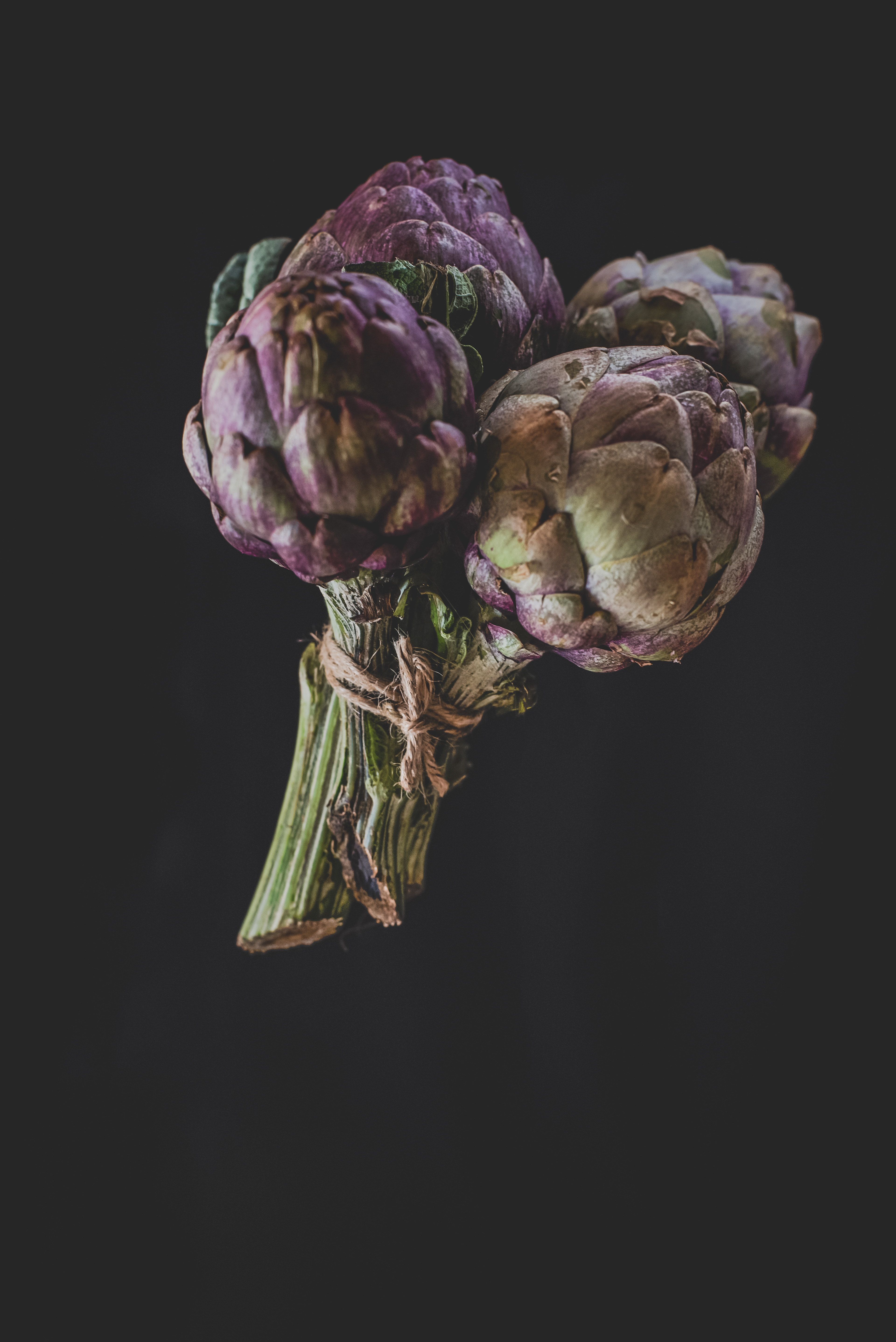 Artichoke
