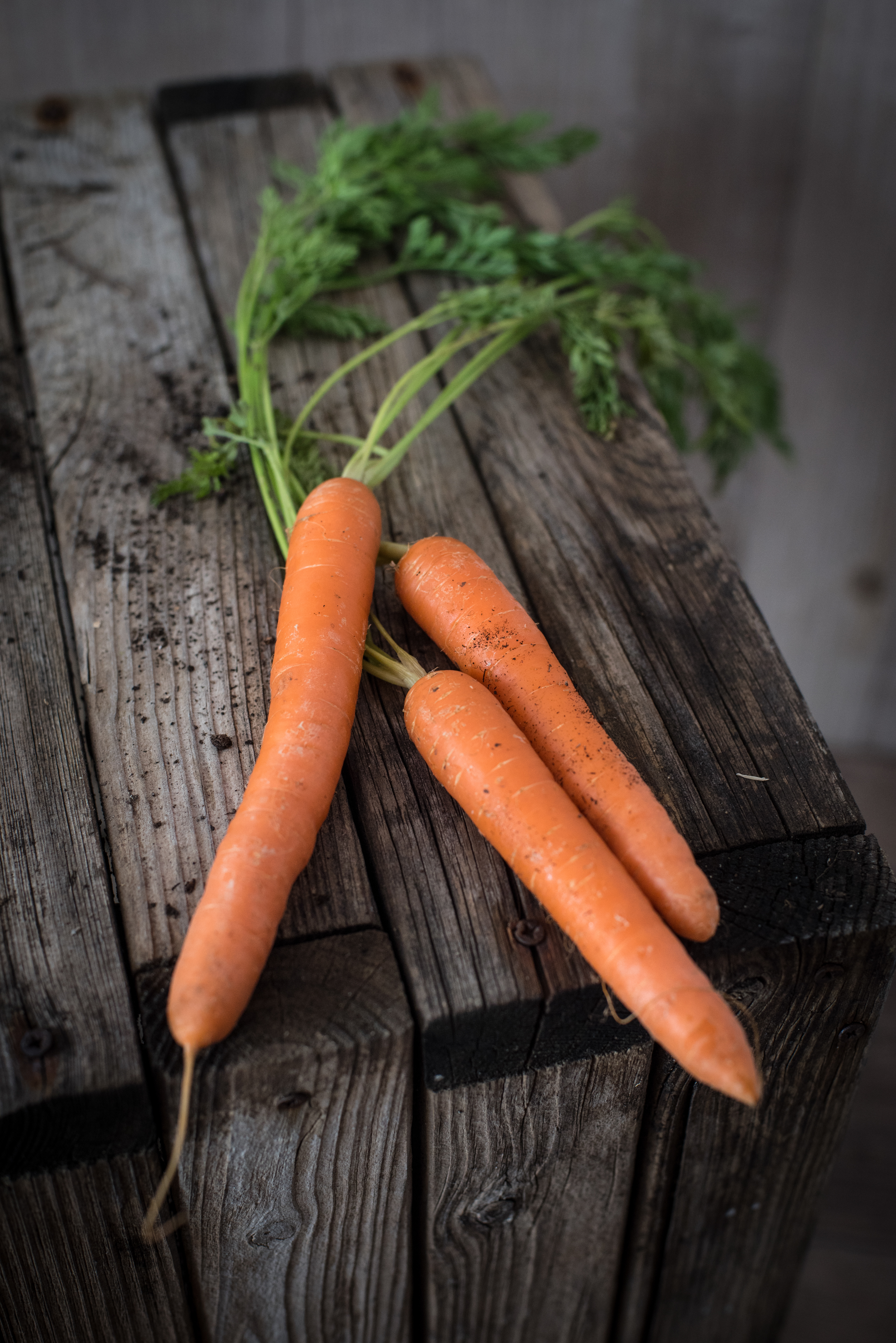 Carottes