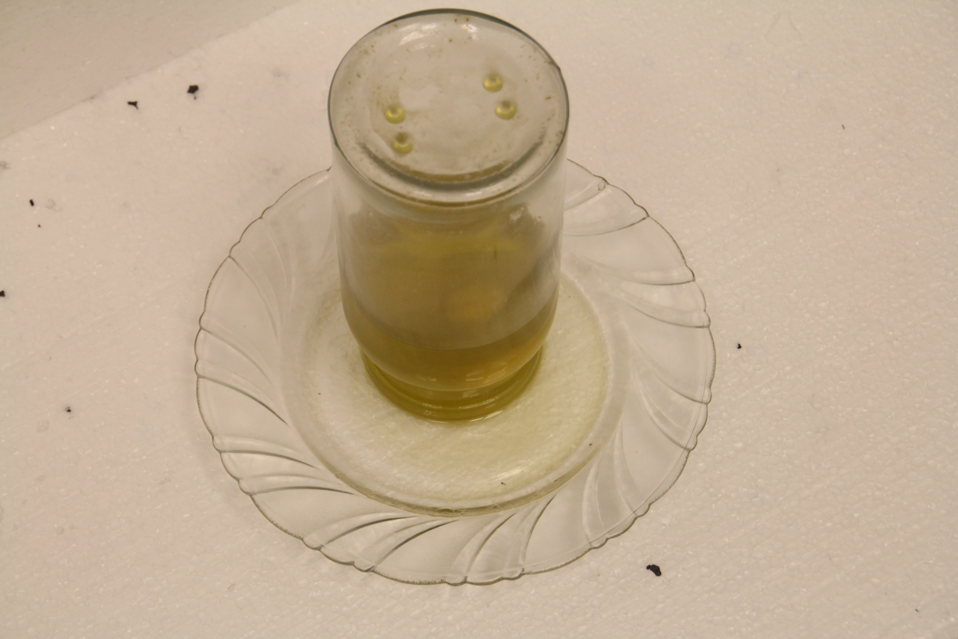Silent Voice 2016, ready made (glass , olive oil and labaneh ball) 