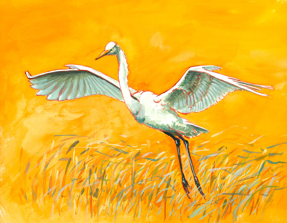 Grade aigrette