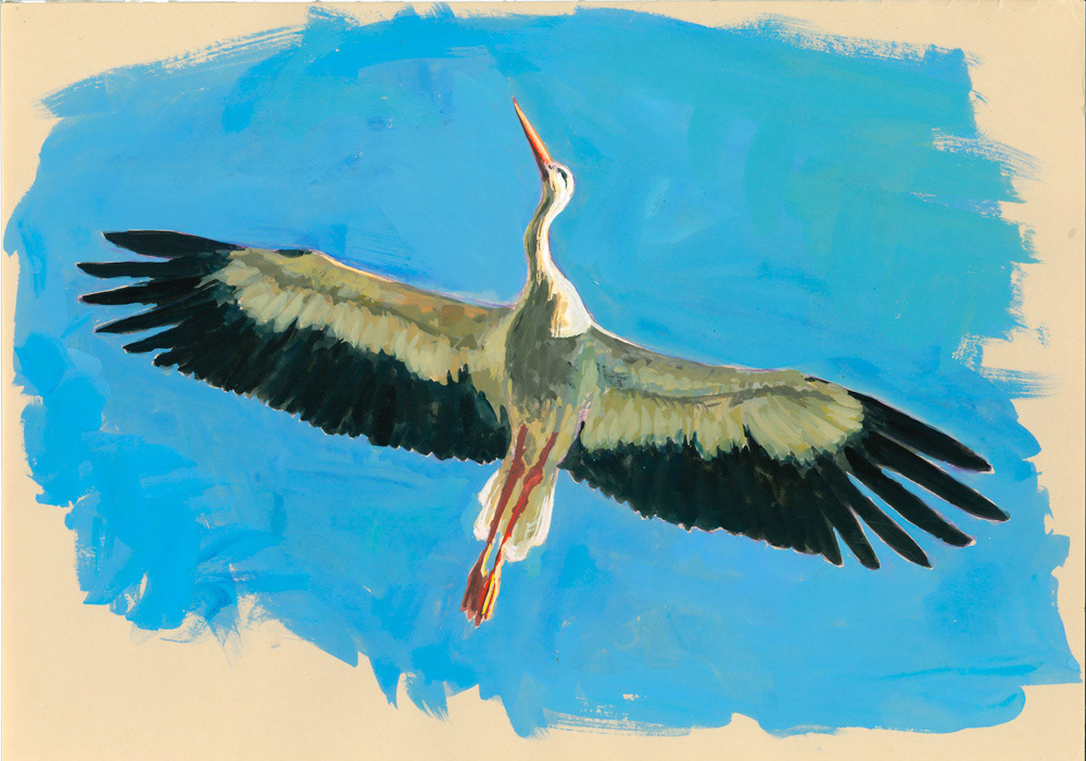 Cigogne