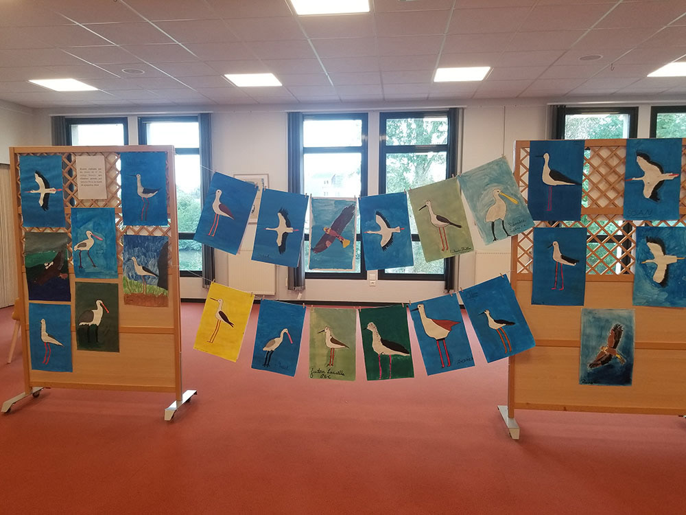 Atelier peintures d"oiseaux