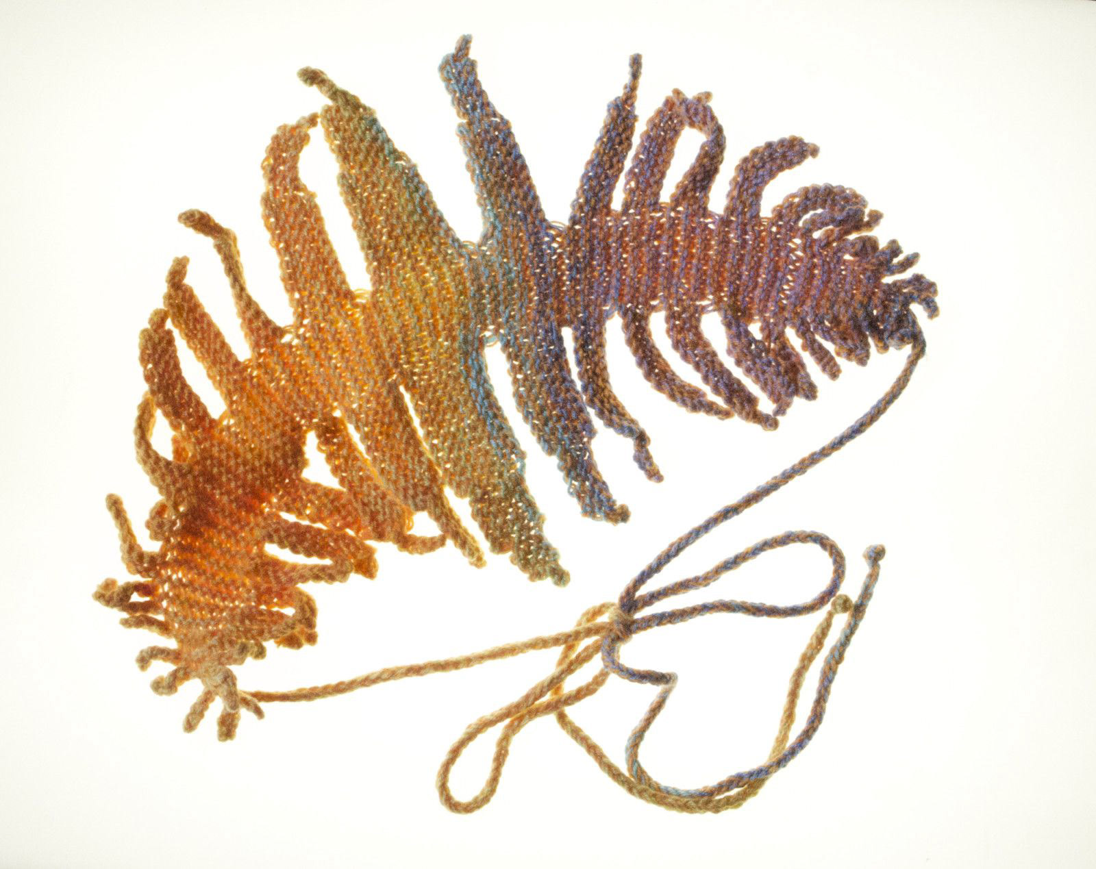 Mille pattes de mer