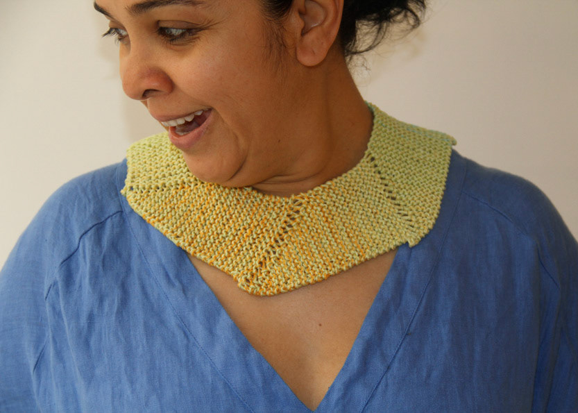 Plastron