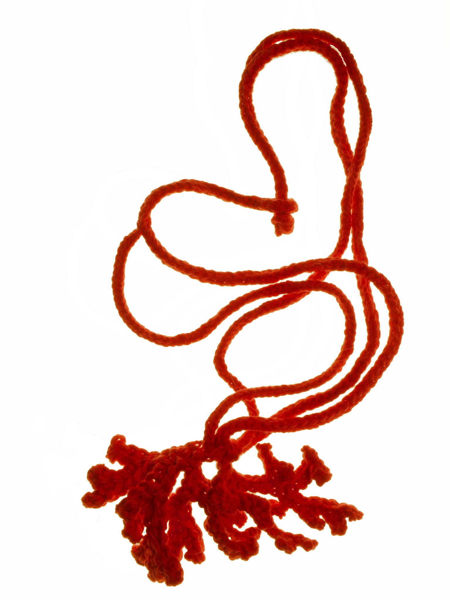 Corail rouge