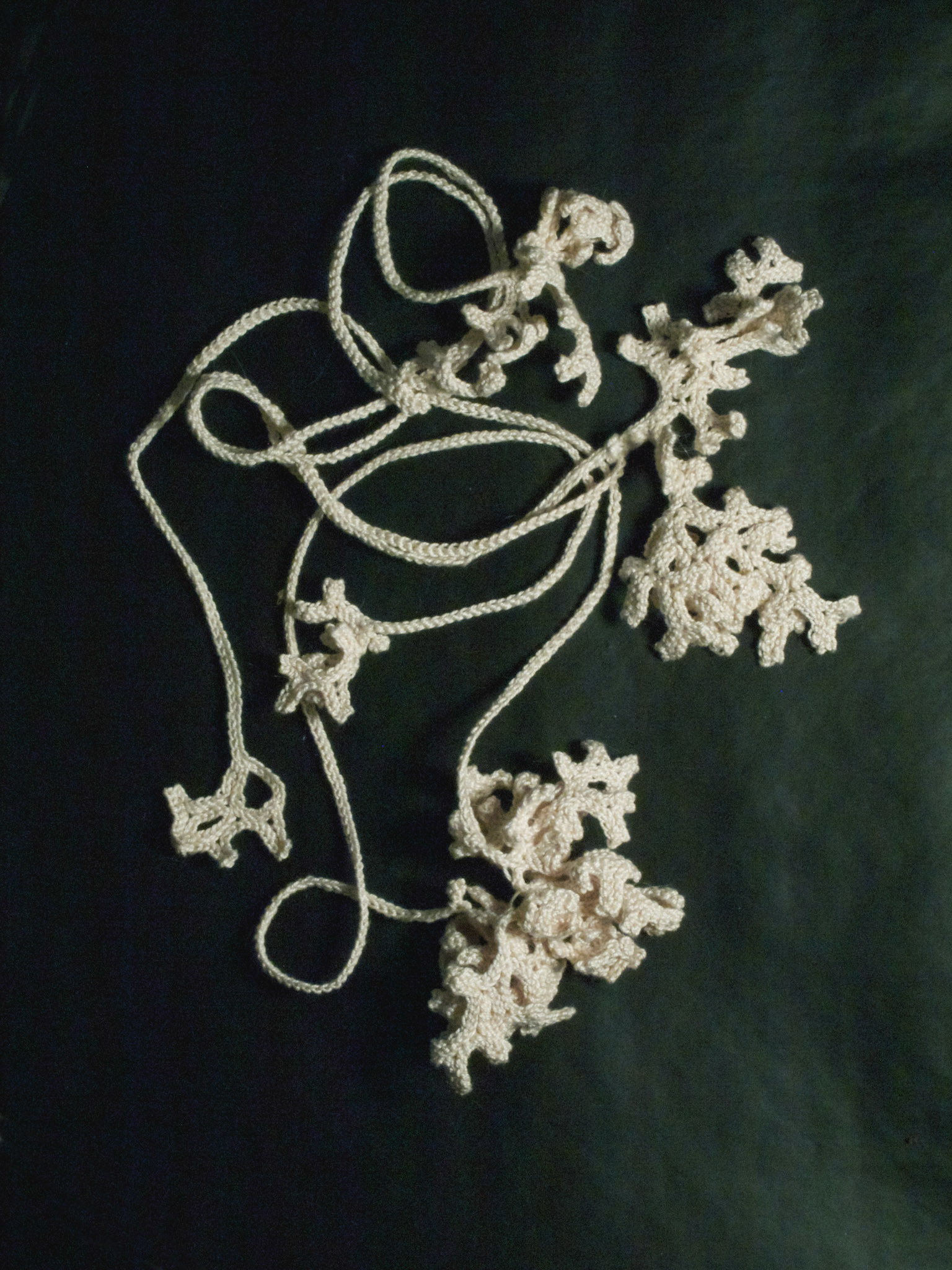 Coraux blancs