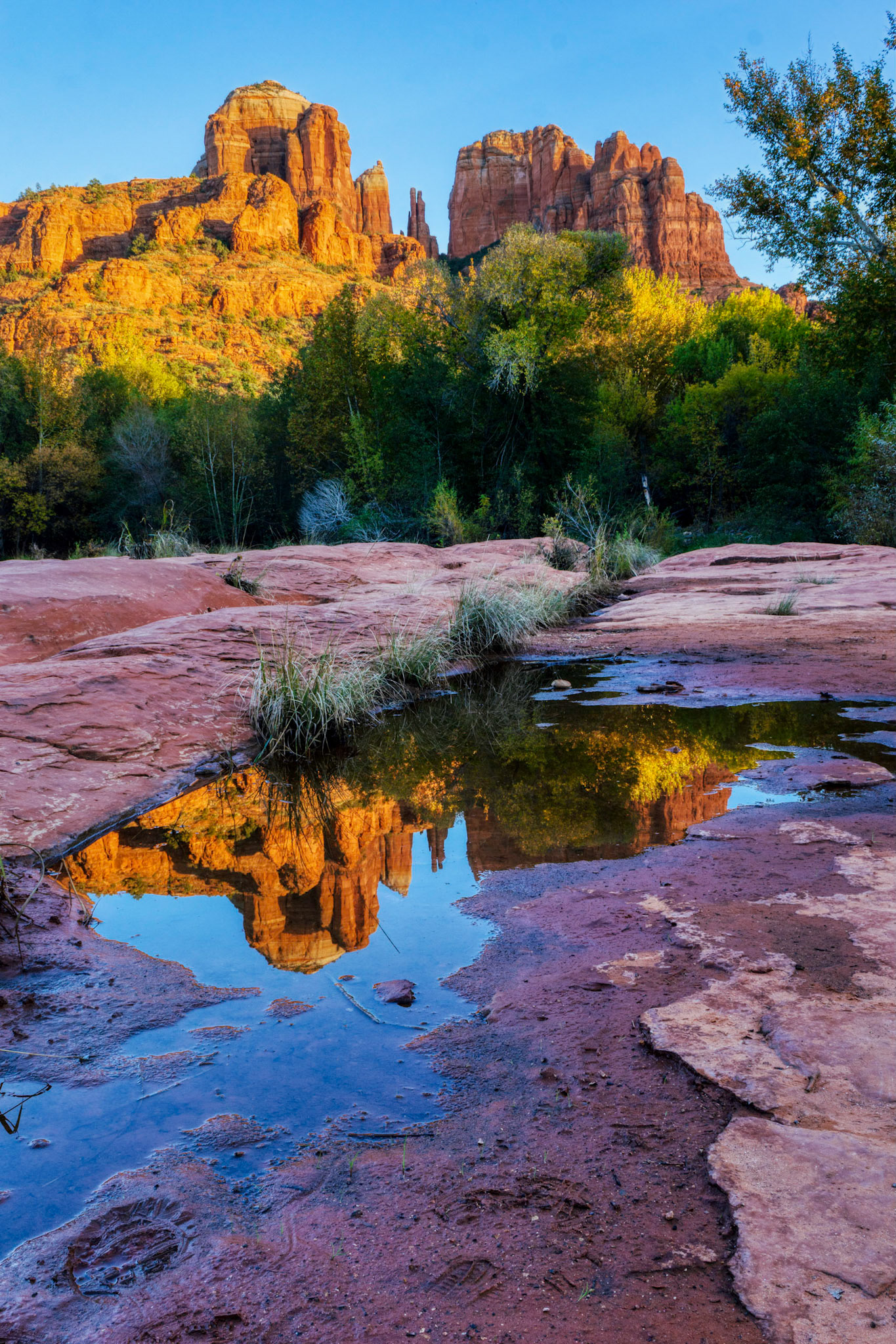 Cathedral Rock from Buddha Beach