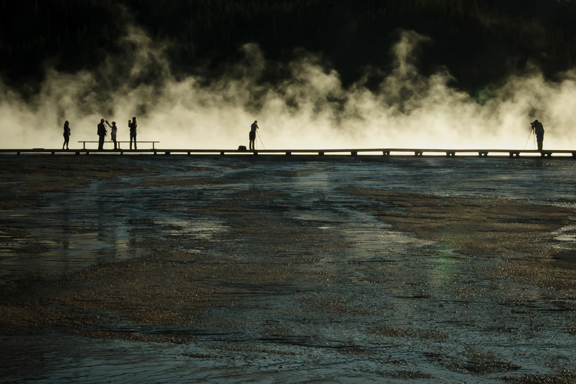 Silhouettes in the Mist