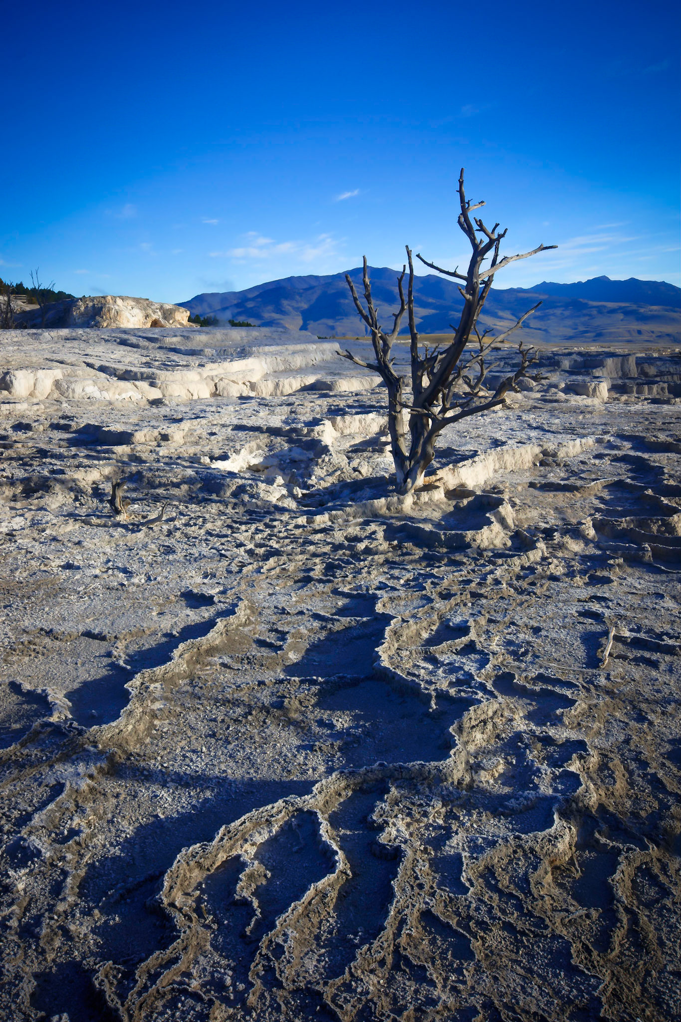 Another Moonscape at Mammoth