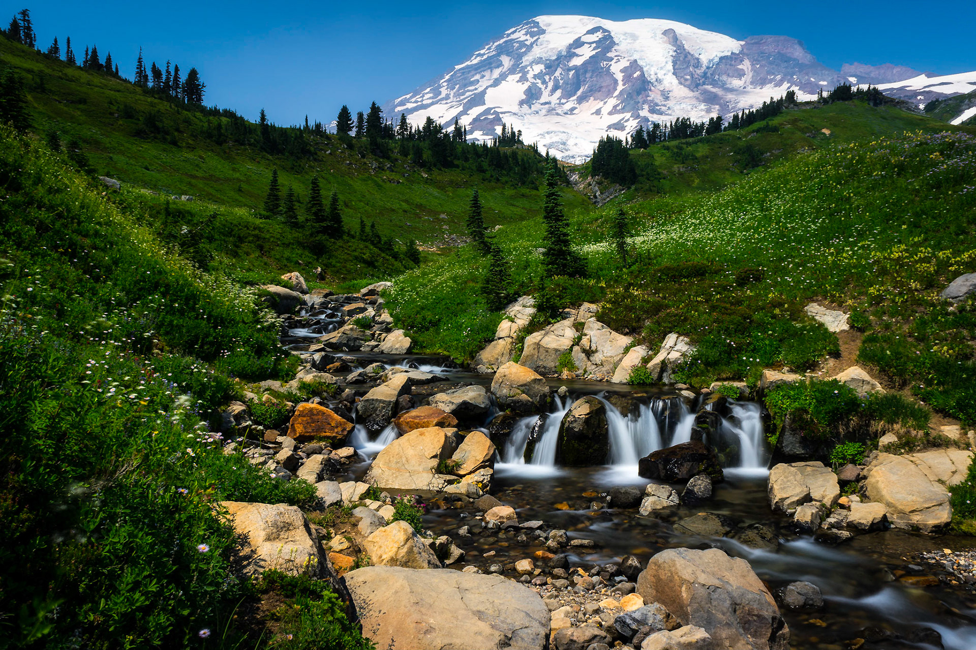 Mt. Rainier Stream
