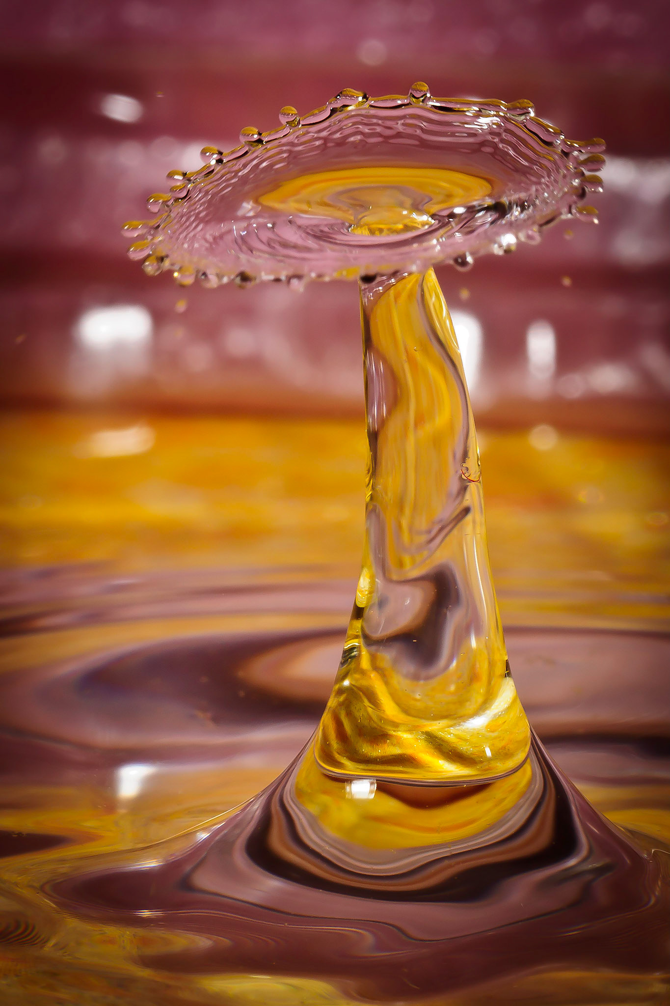 Candy Dish