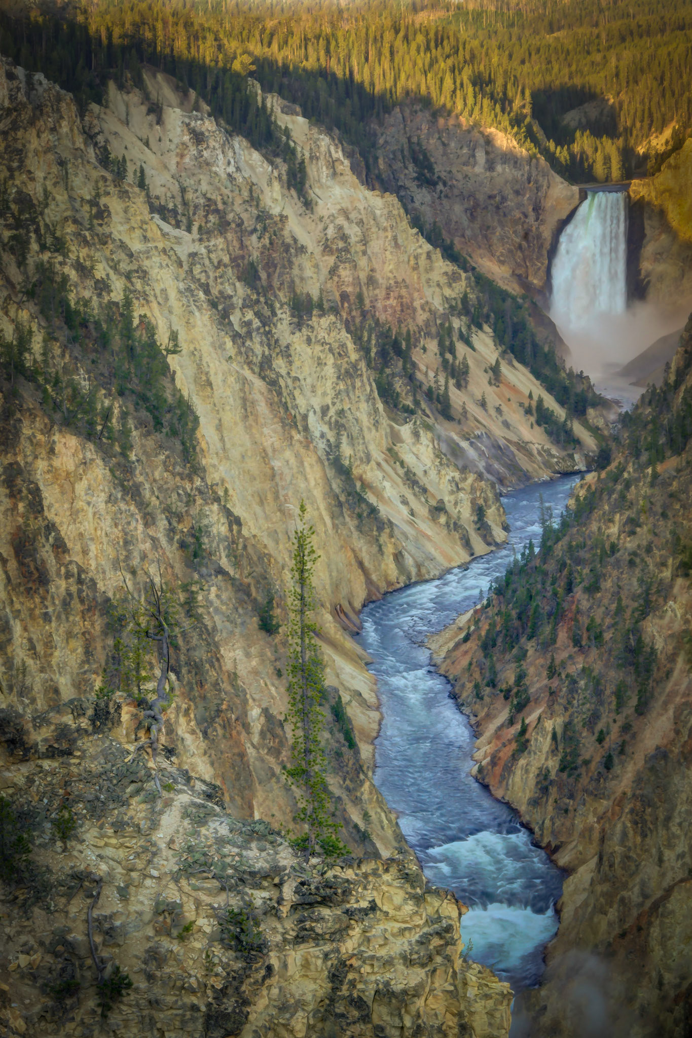 Lower Yellowstone Falls