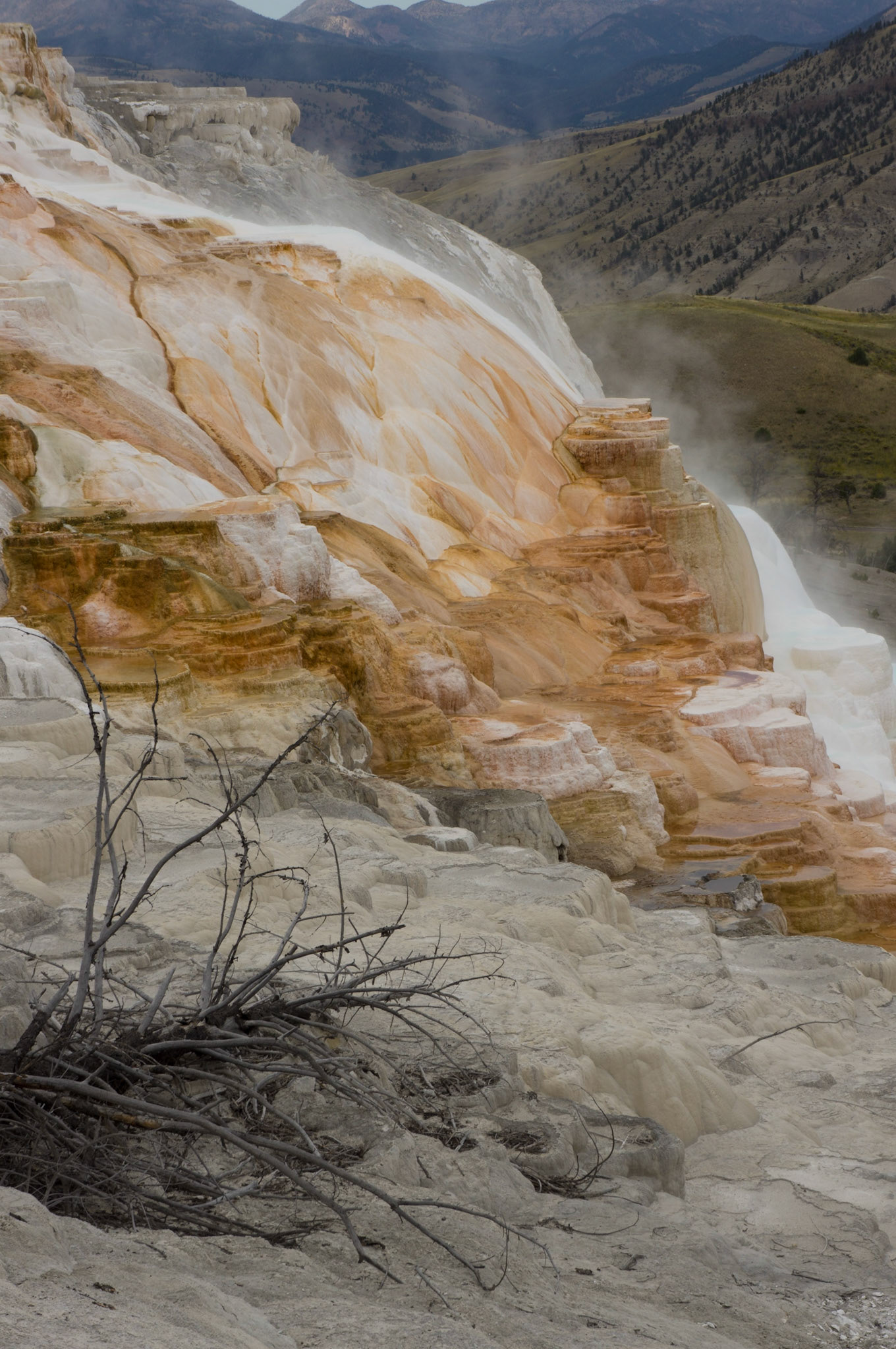 Mammoth Hot Springs