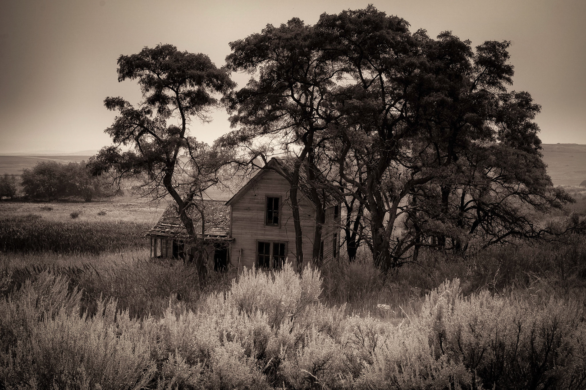 Lost in Time