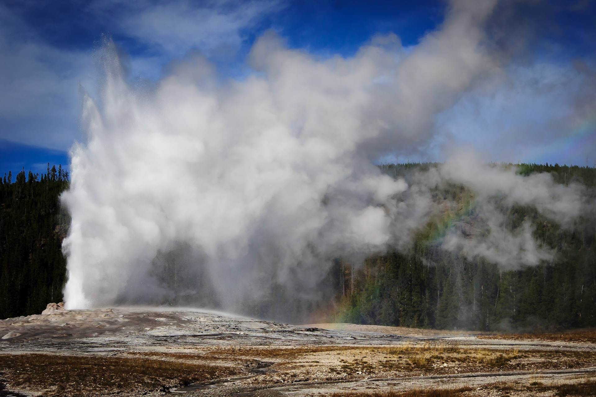 Old Faithful