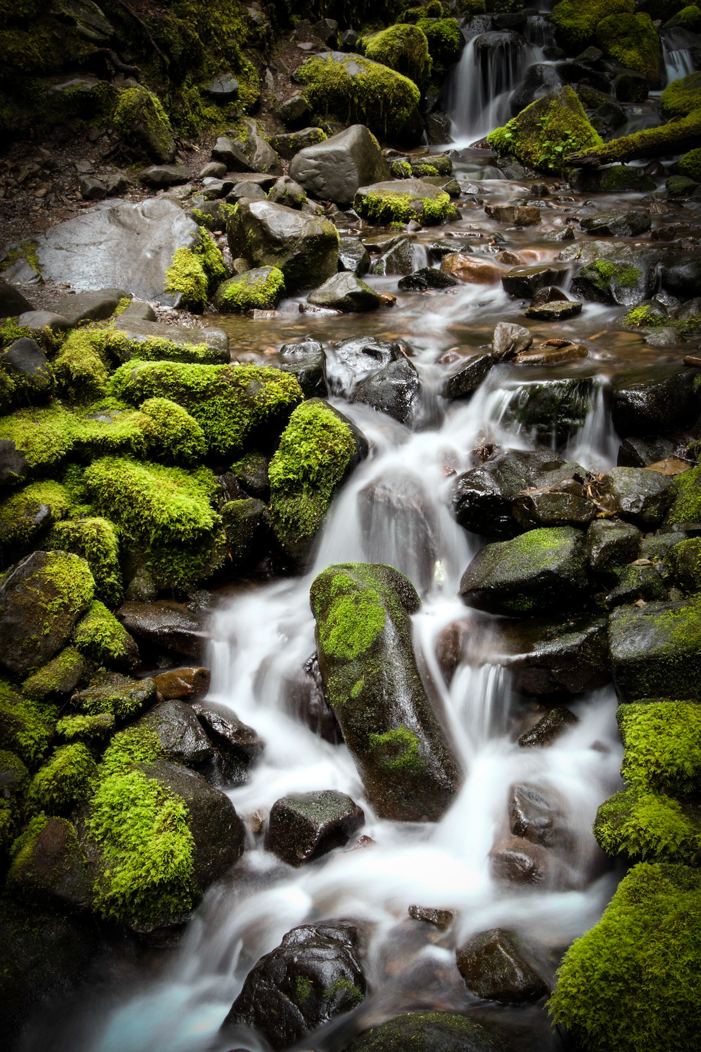 Sol Duc Stream