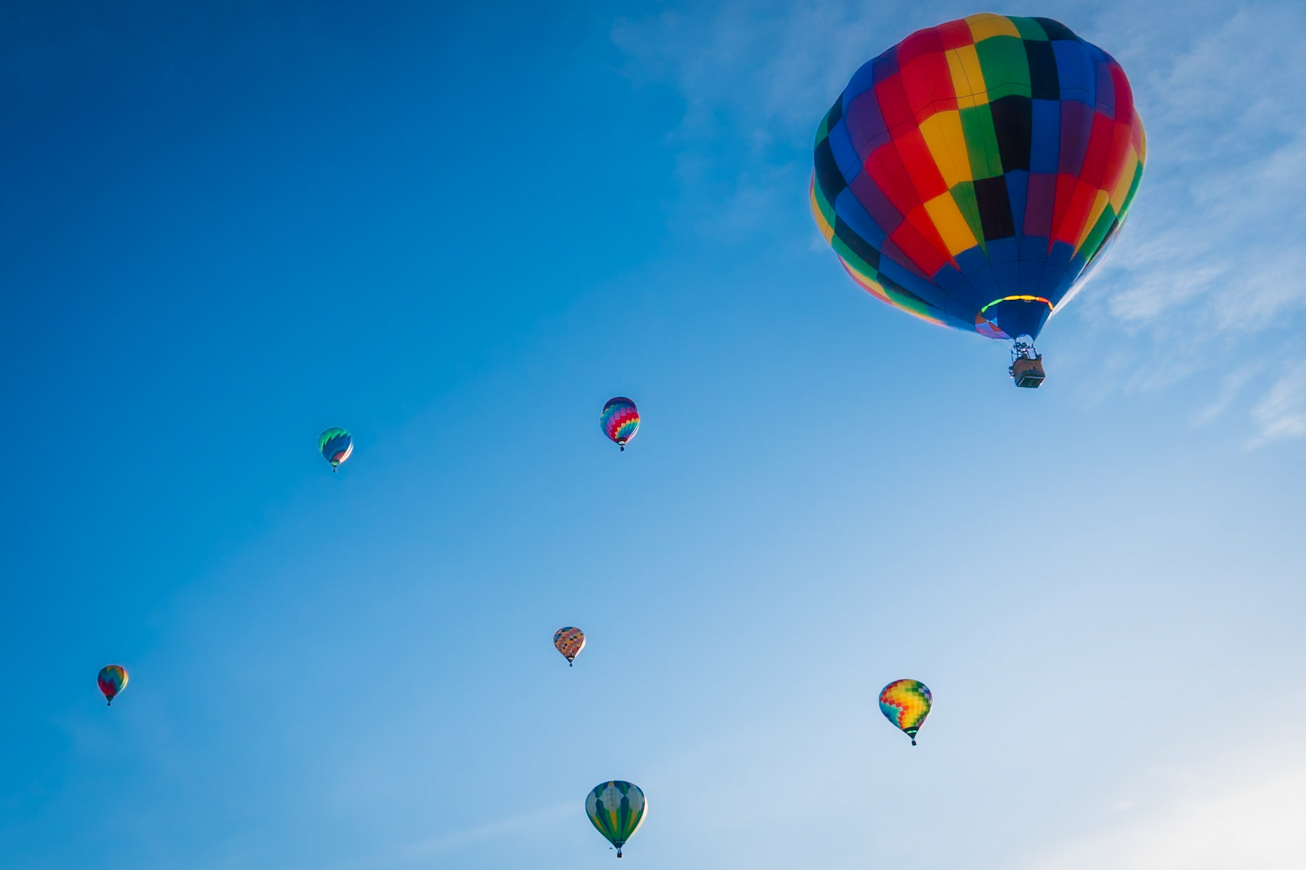 Flyin' High