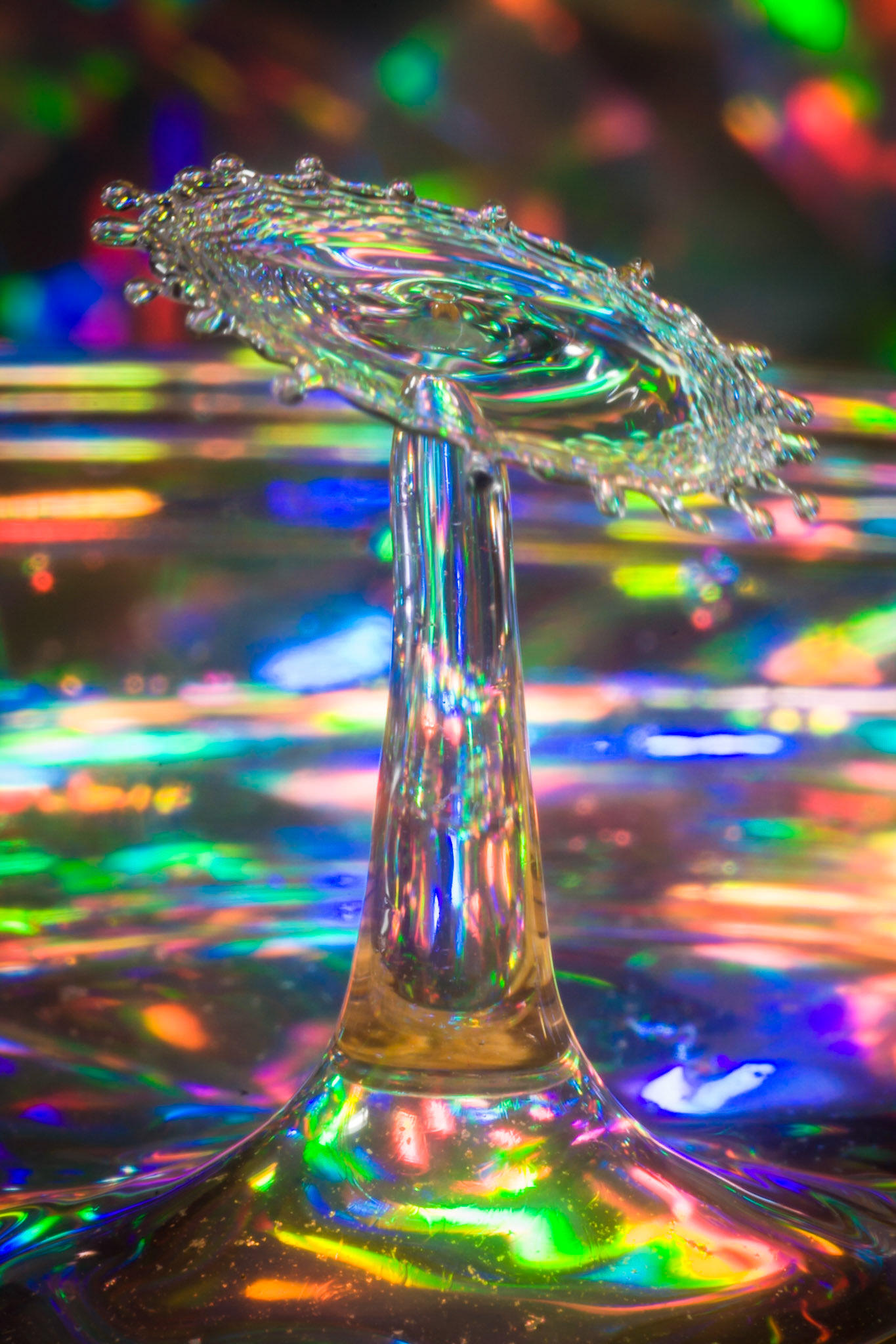 Rainbow Magic