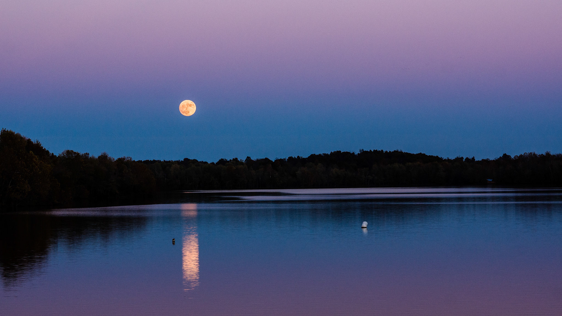 Super Moon 11 13 2016