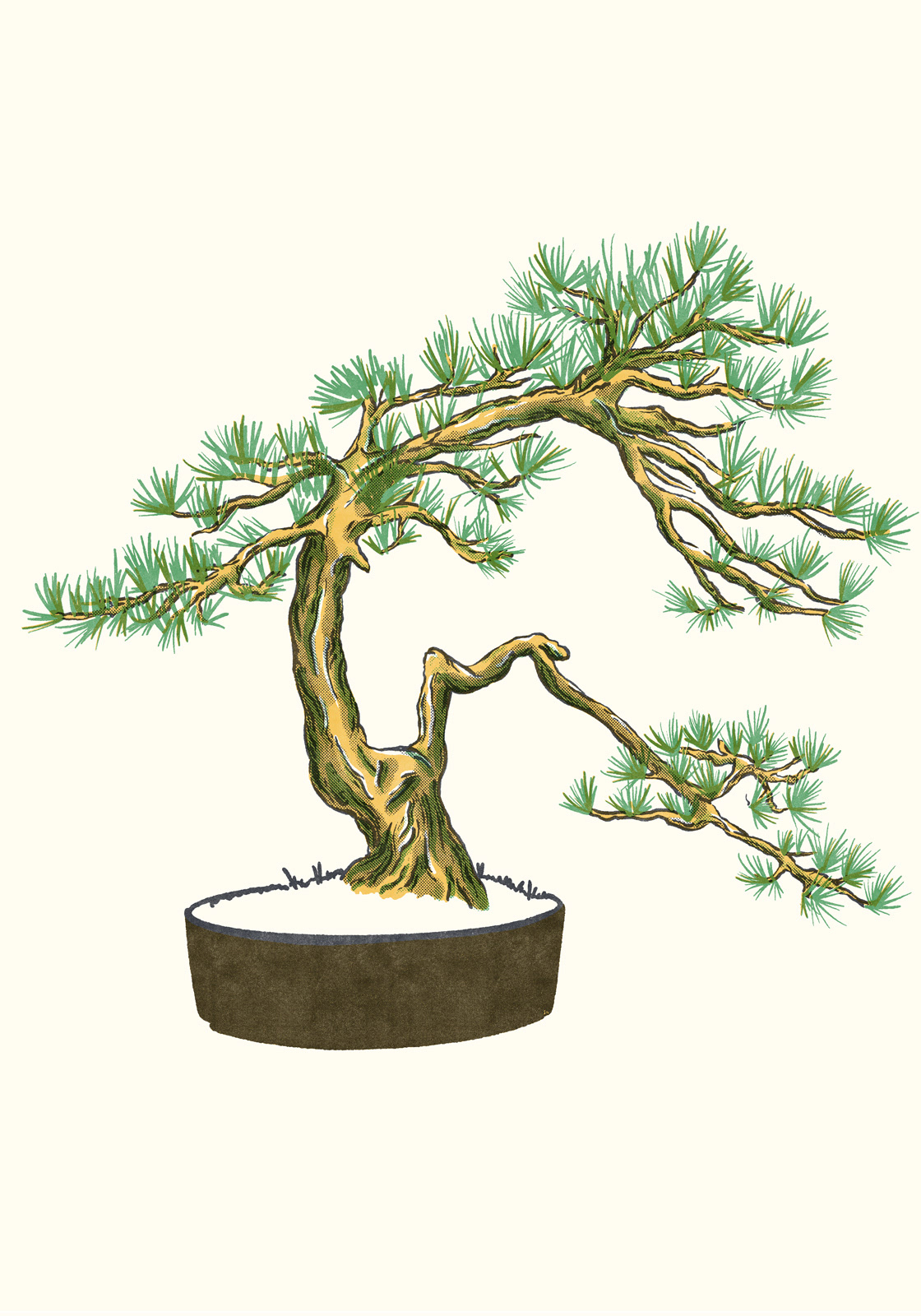 bonsai — siebdruck