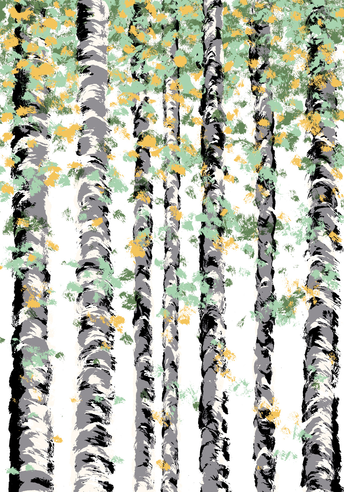 Birkenwald