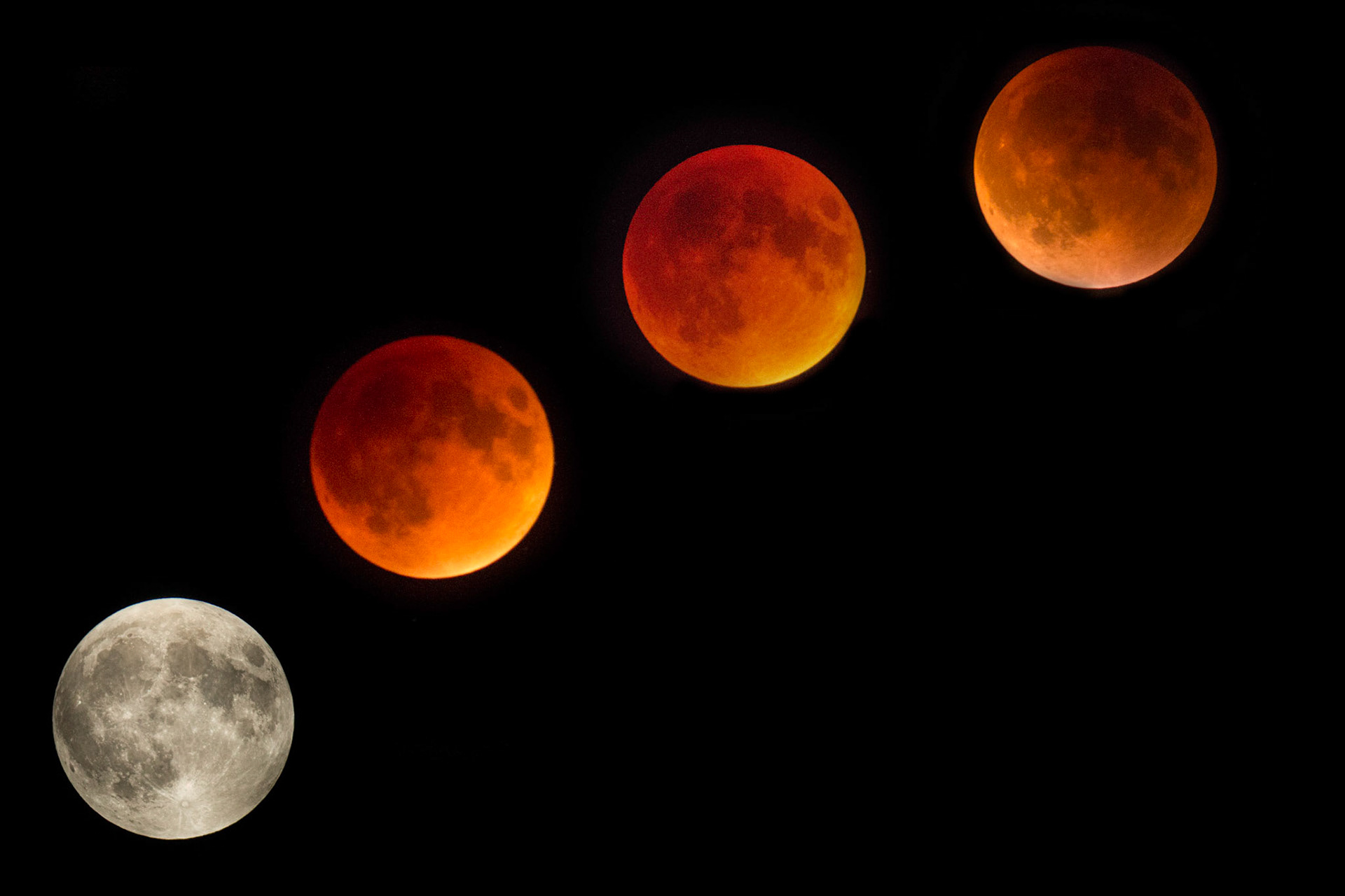 Moon Eclipse