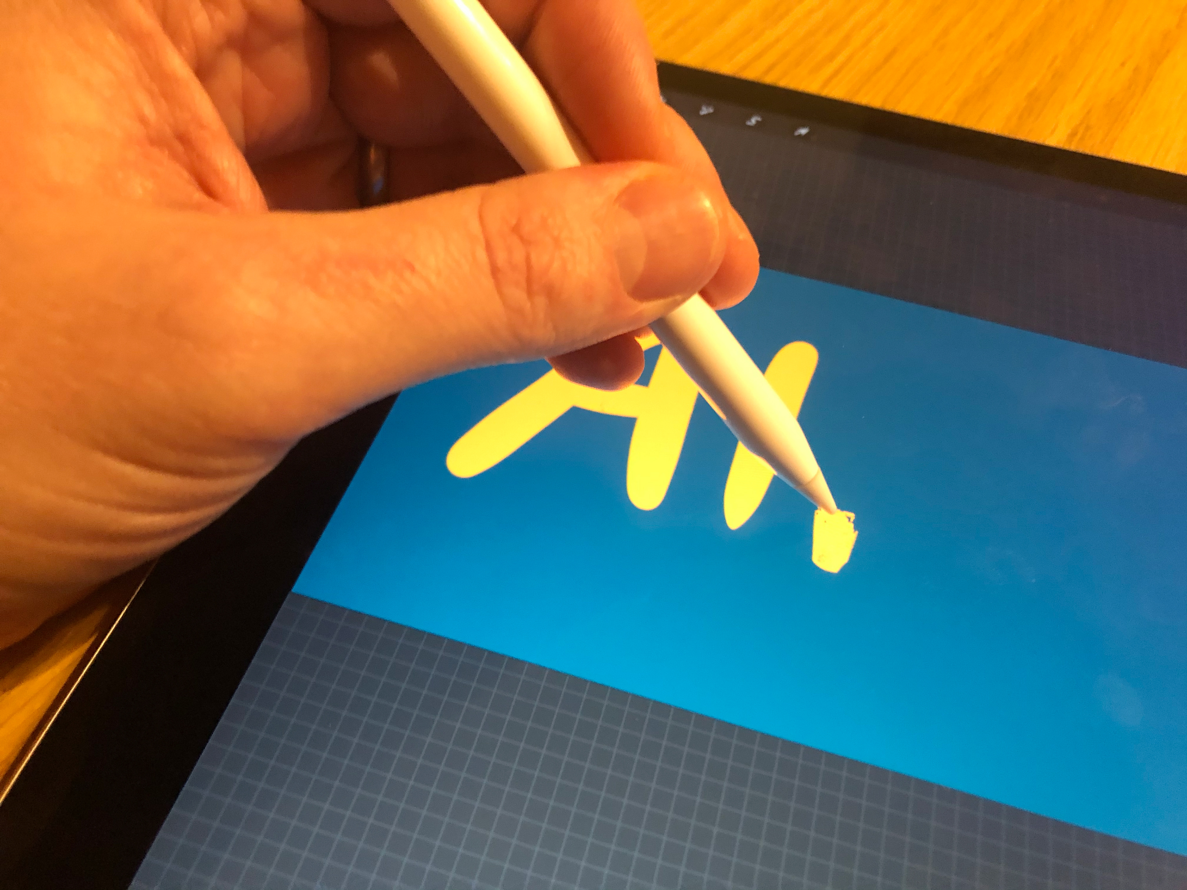 Animation using Procreate