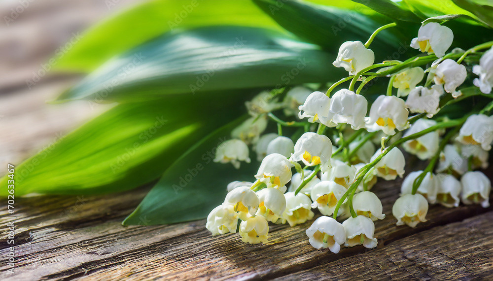 1er mai, brin et bouquet de fleur de muguet avec feuille, fête du travail, fond flou