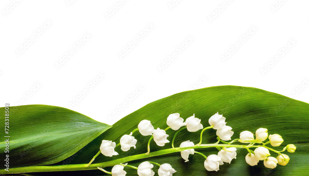 brin de muguet porte bonheur du premier mai pour la fête du travail et du printemps