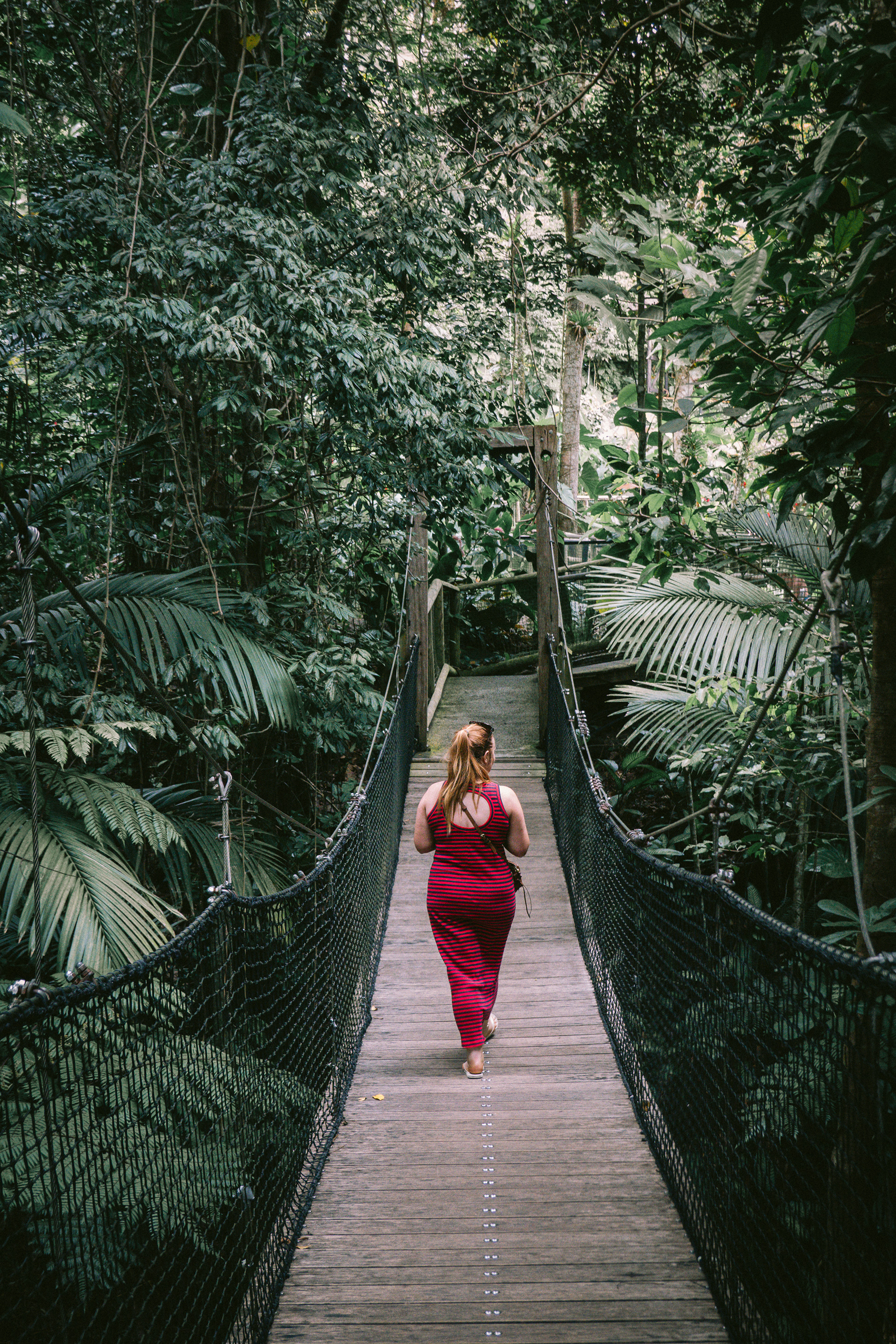 Guadeloupe #3