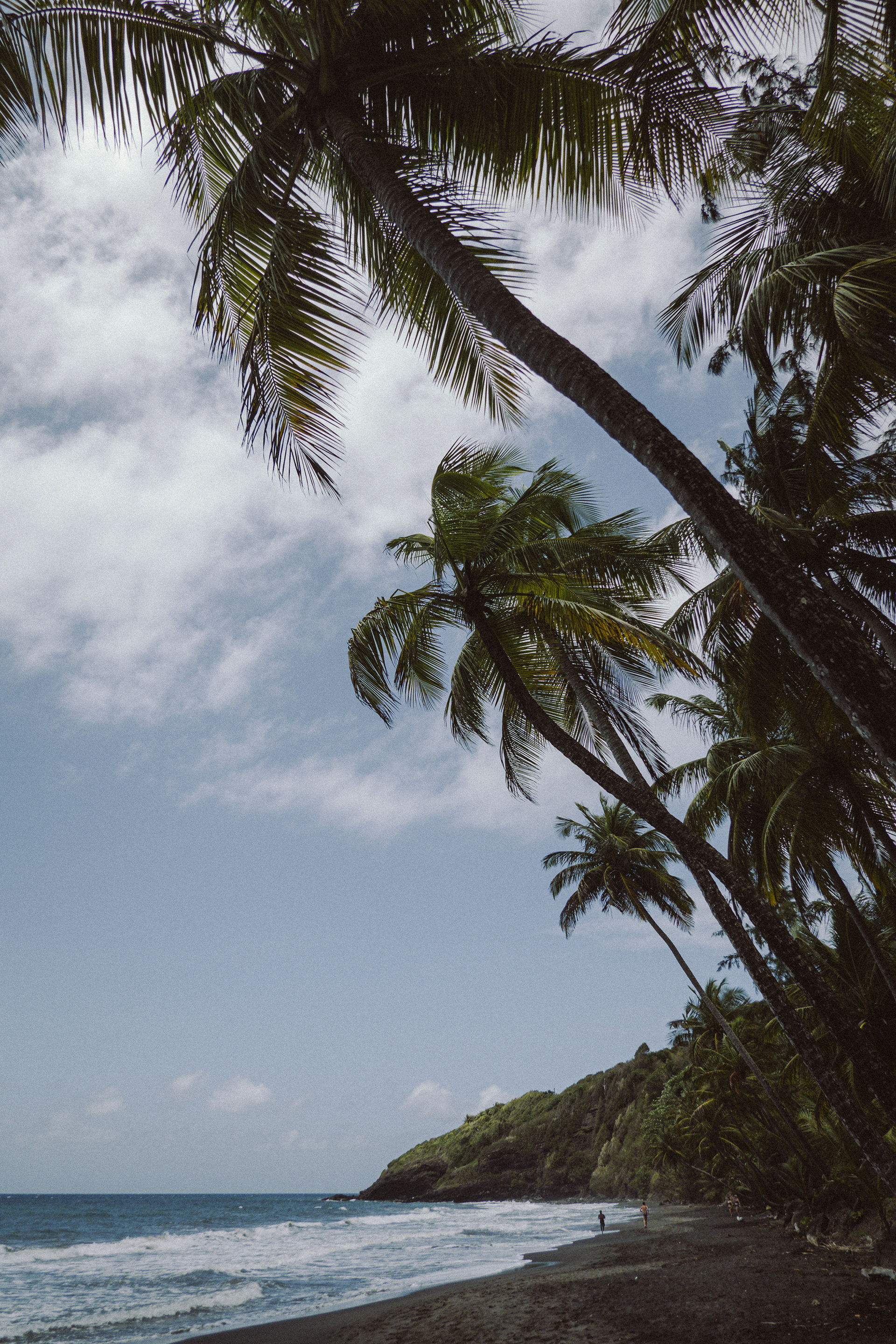 Guadeloupe #4
