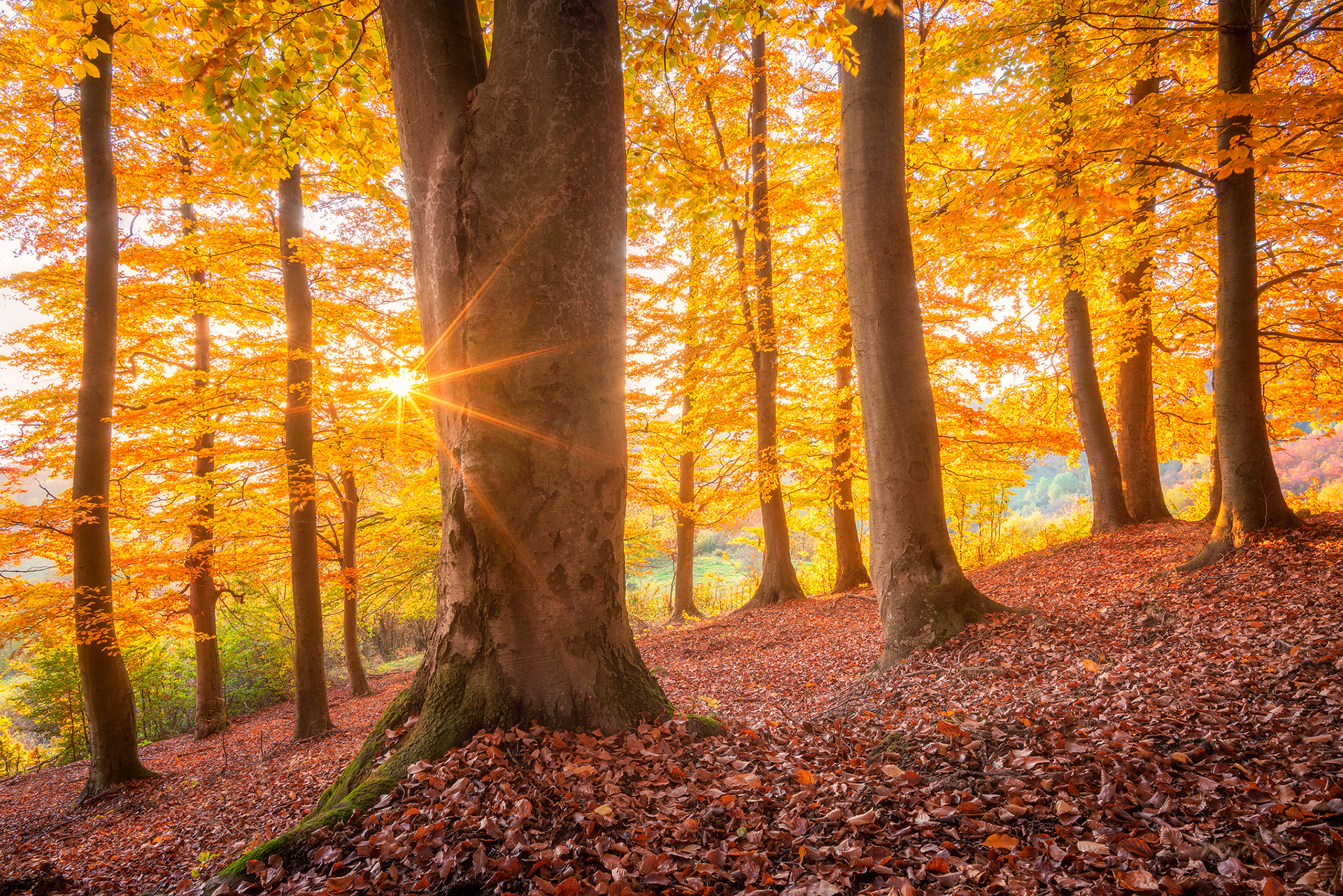 Povrazník, stredné Slovensko