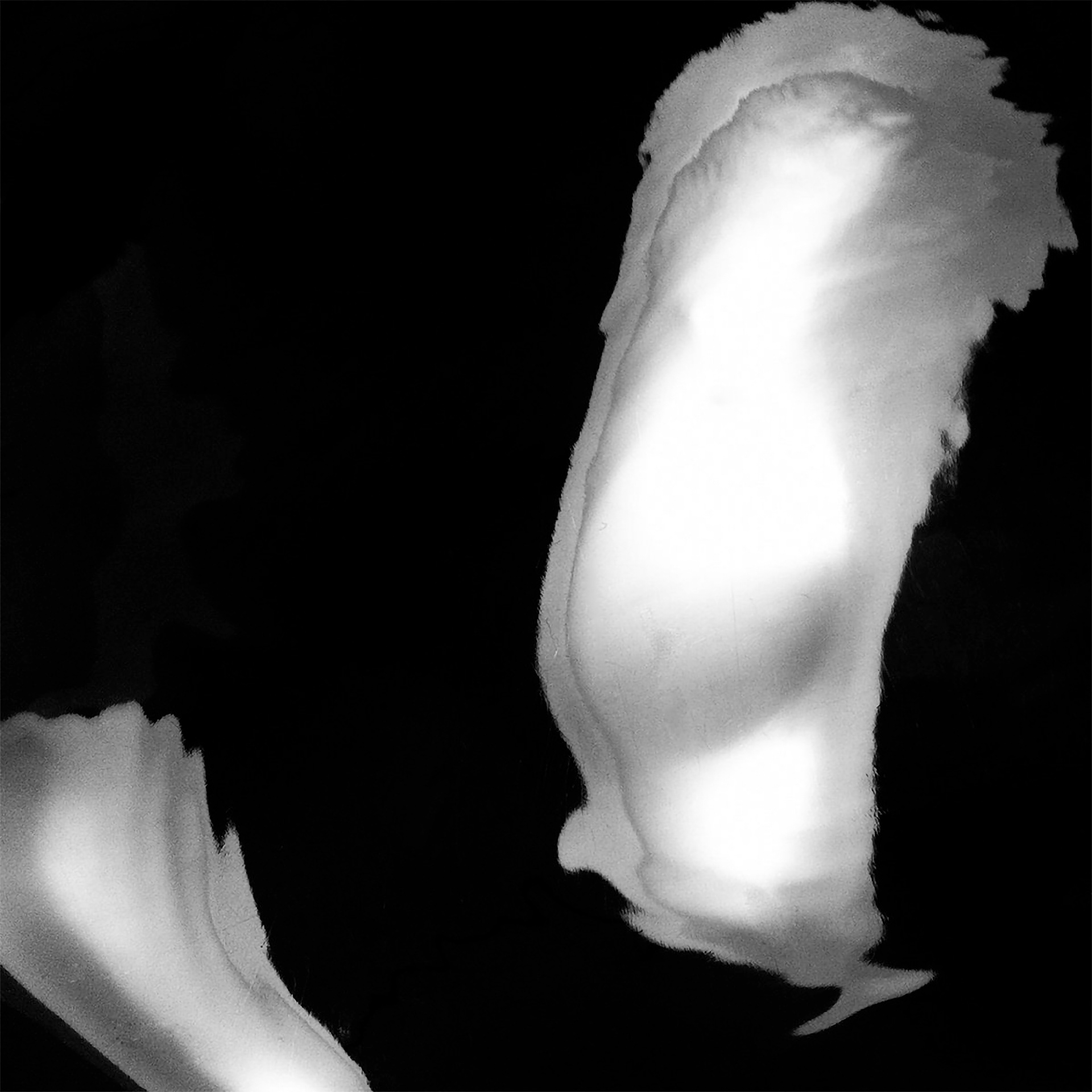 ATTIC012
