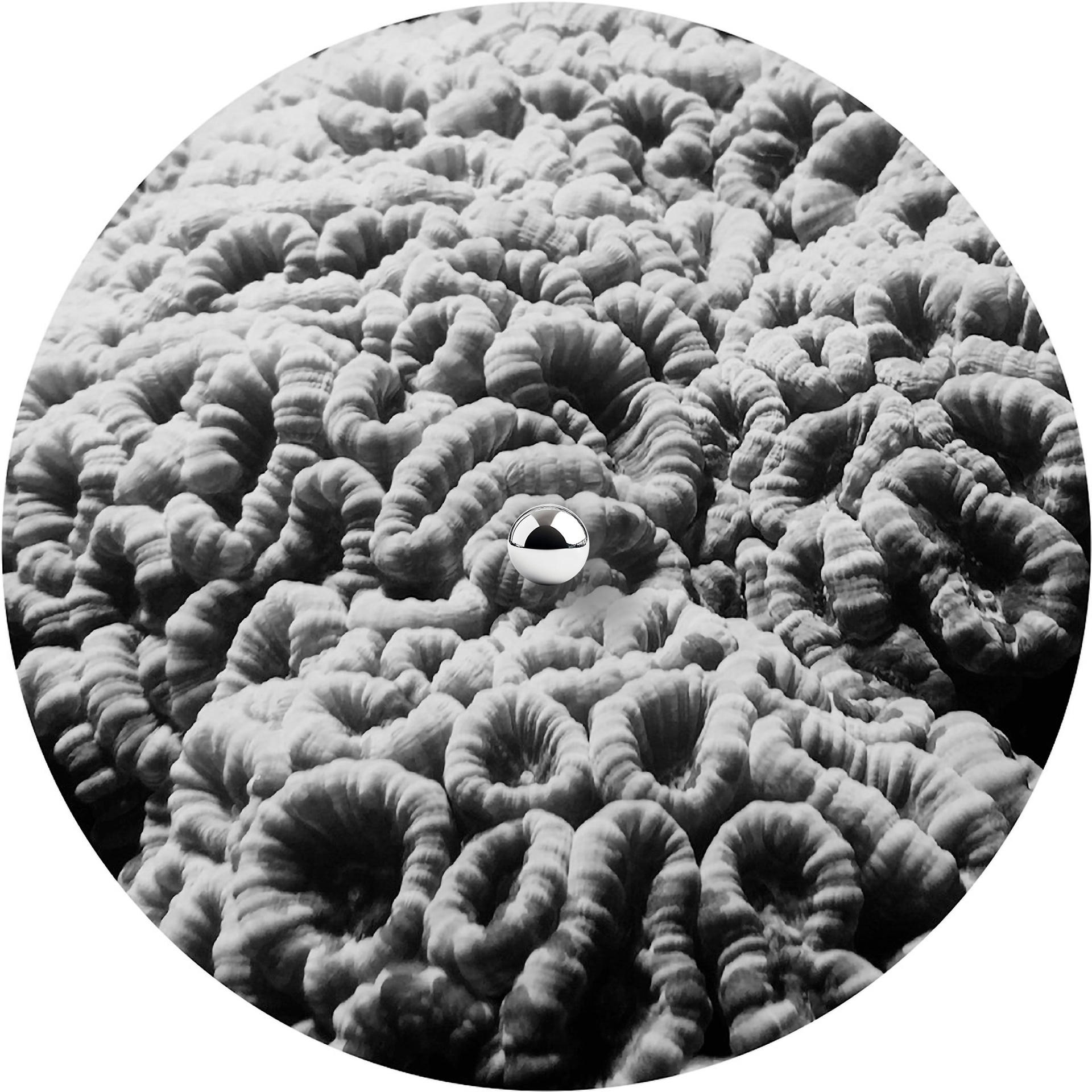 ATTICL01