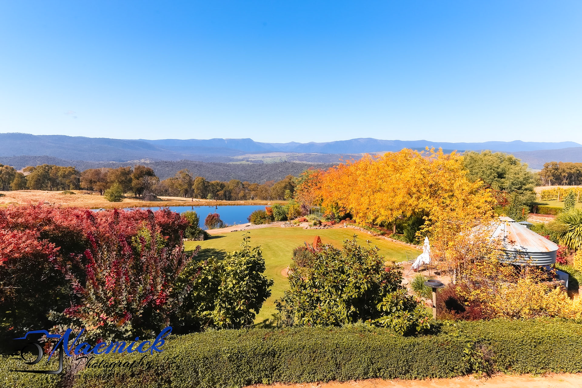 An Australian landscape view features a clear blue sky over distant mountains, a tranquil pond, and vibrant autumn foliage in Maragle, New South Wales.