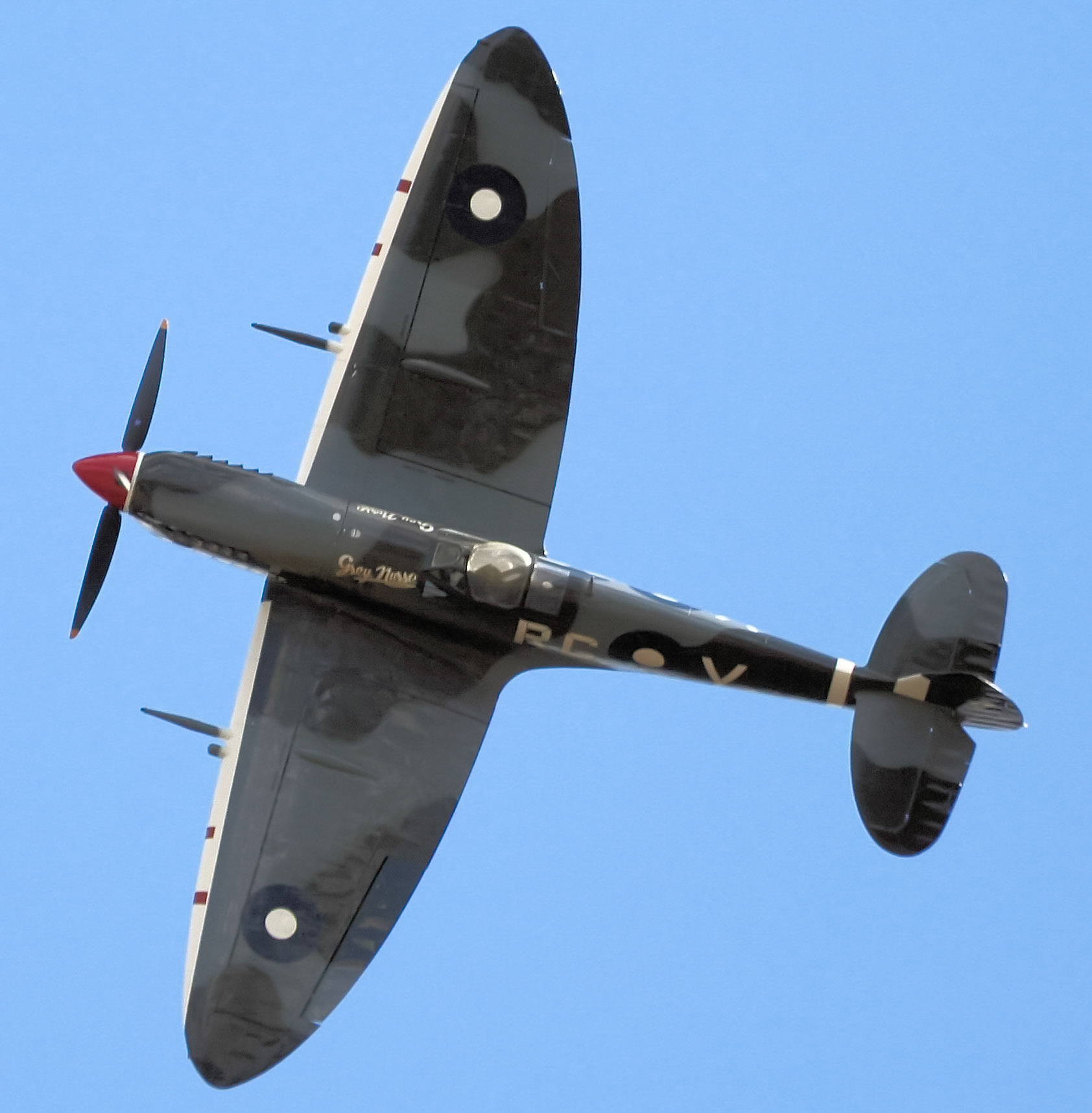A Supermarine Spitfire Mk. XVI, coded "RC-V" and named "Grey Nurse", flies against a clear blue sky.