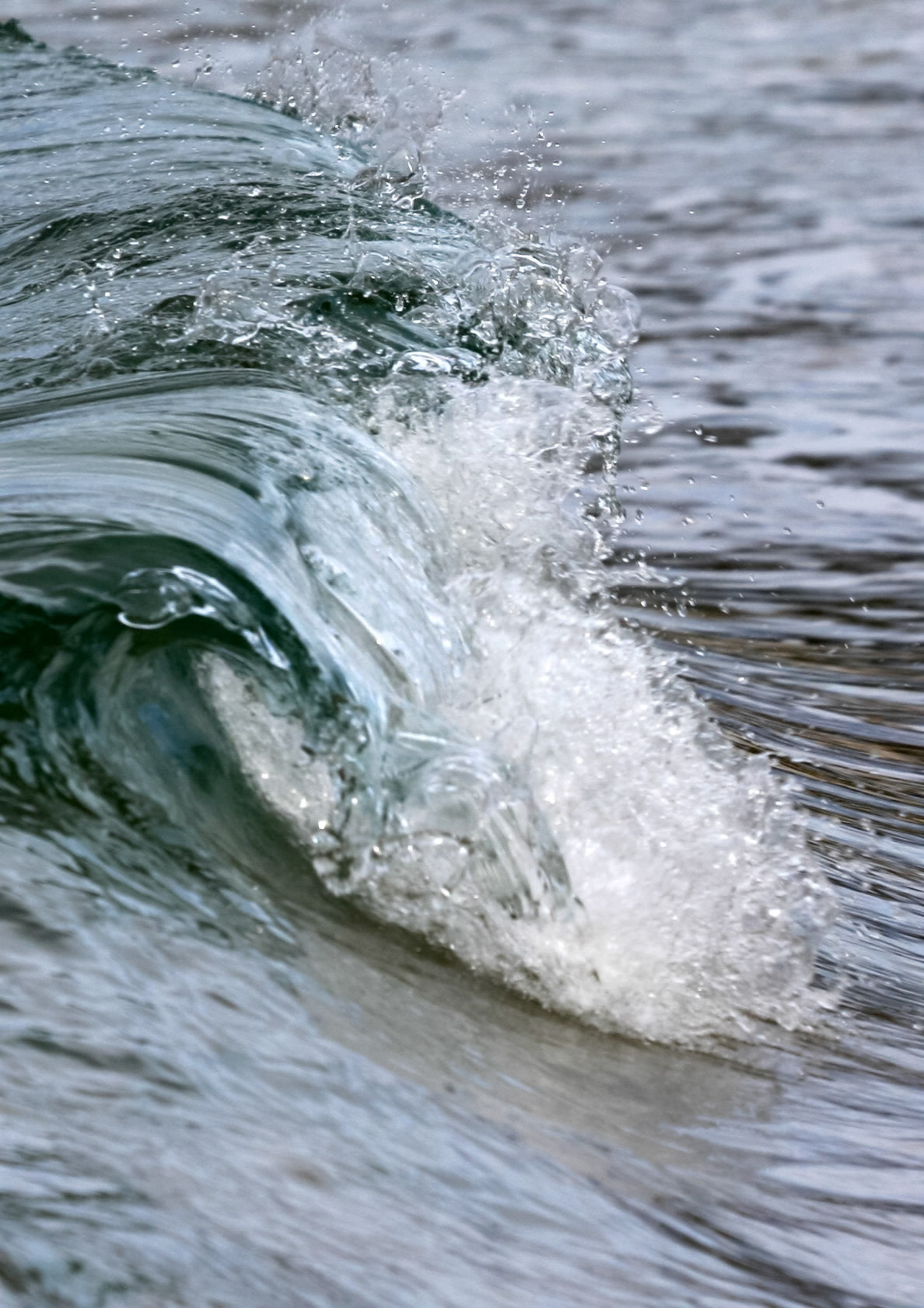 A close-up view captures a dynamic ocean wave, showcasing its intricate curl and the explosive spray of water droplets.