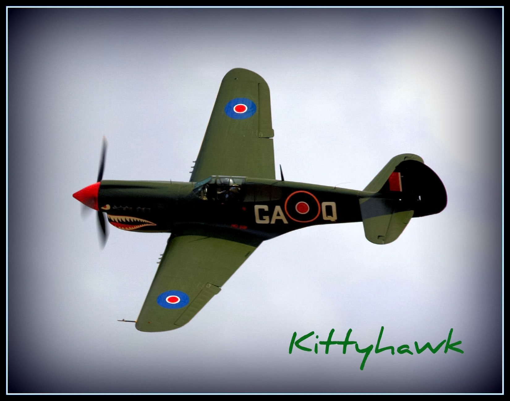 A vintage military aircraft, likely a Curtiss P-40 Warhawk, flies with a shark mouth nose art design. "Kittyhawk"