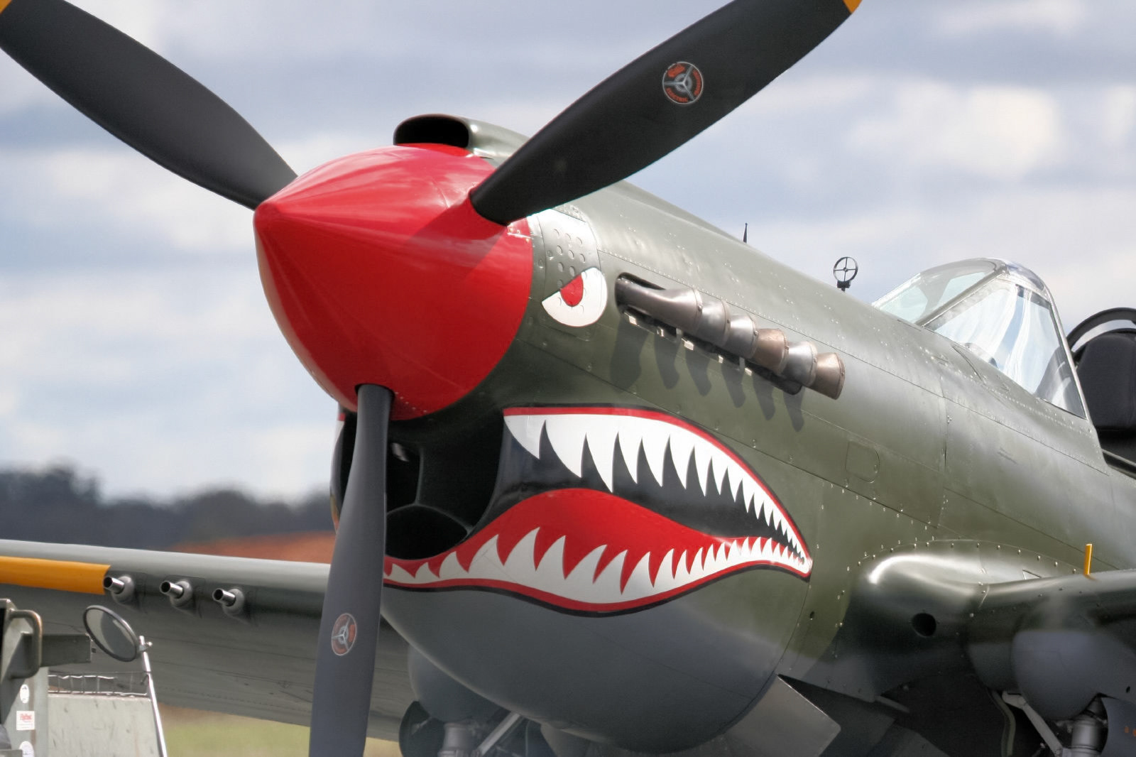 A close-up view of the Curtiss P-40 Warhawk fighter aircraft, showcasing its distinctive shark mouth nose art.