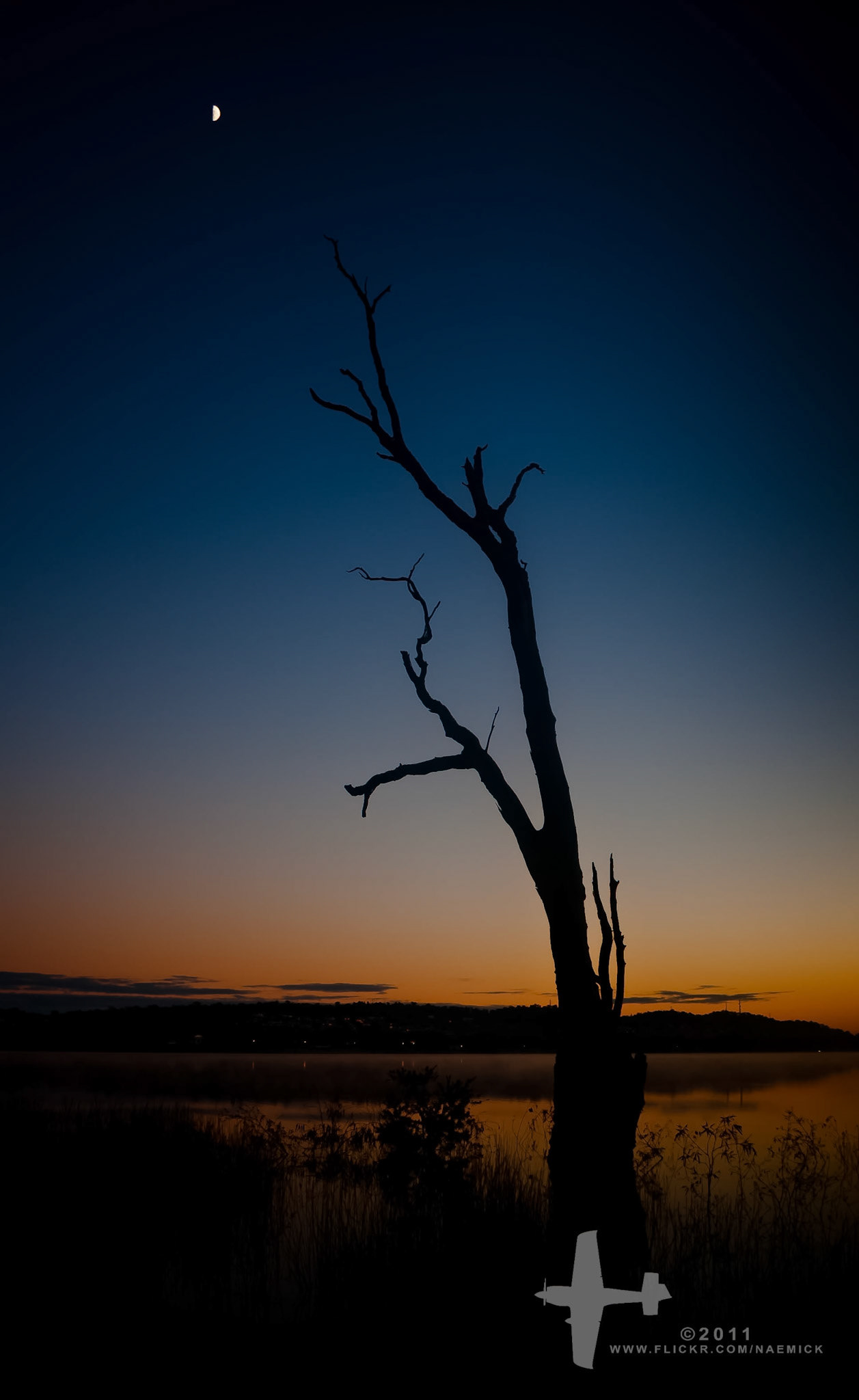 A lone, silhouetted dead tree stands against a gradient sky during twilight, overlooking a calm body of water with distant lights. A crescent moon is visible.