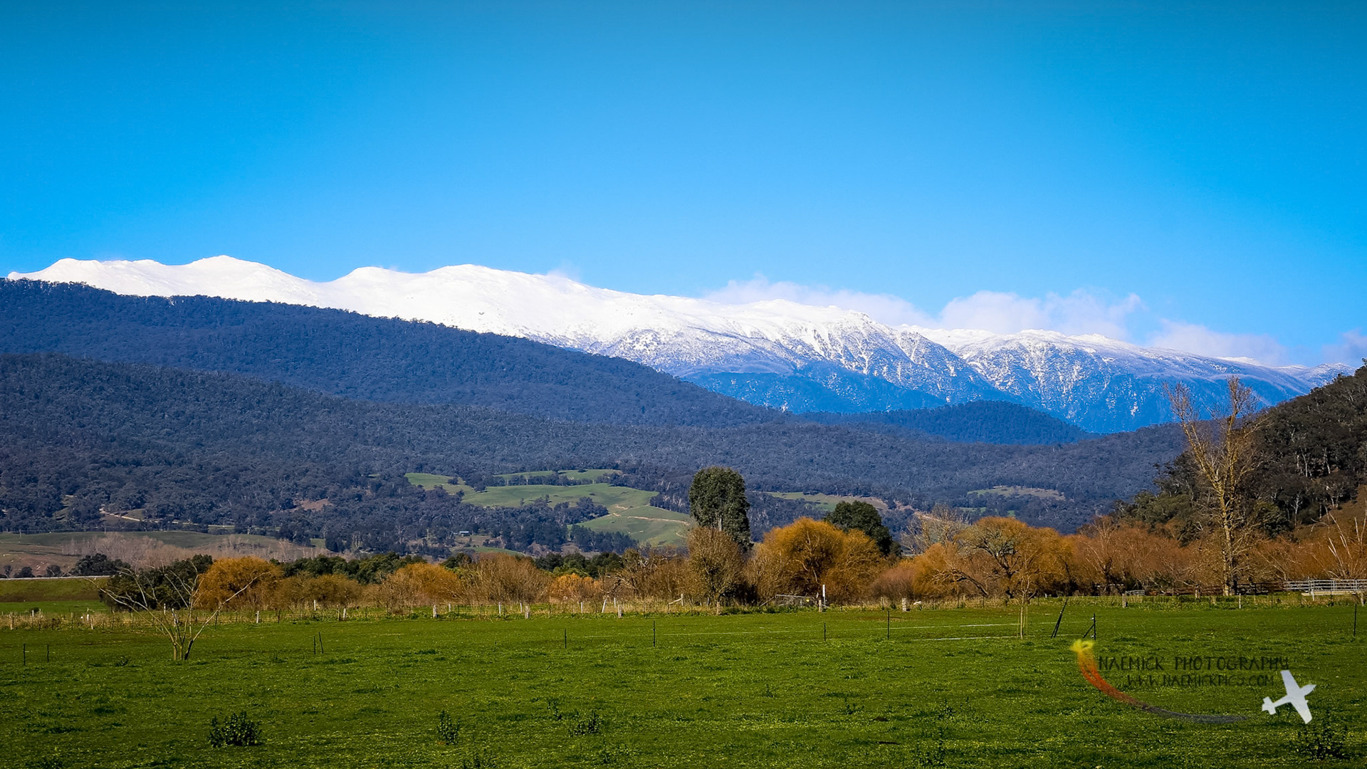 A wide view of snow-capped mountains in Khancoban, New South Wales, Australia, with green fields and trees.
