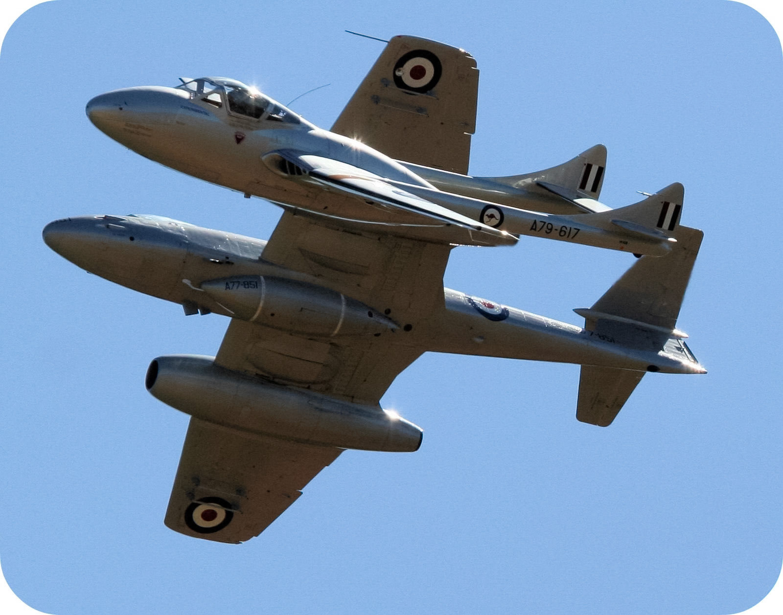 Two de Havilland Vampire jet aircraft, identified by markings "A79-617" and "A77-851", perform an aerial maneuver under a clear sky.