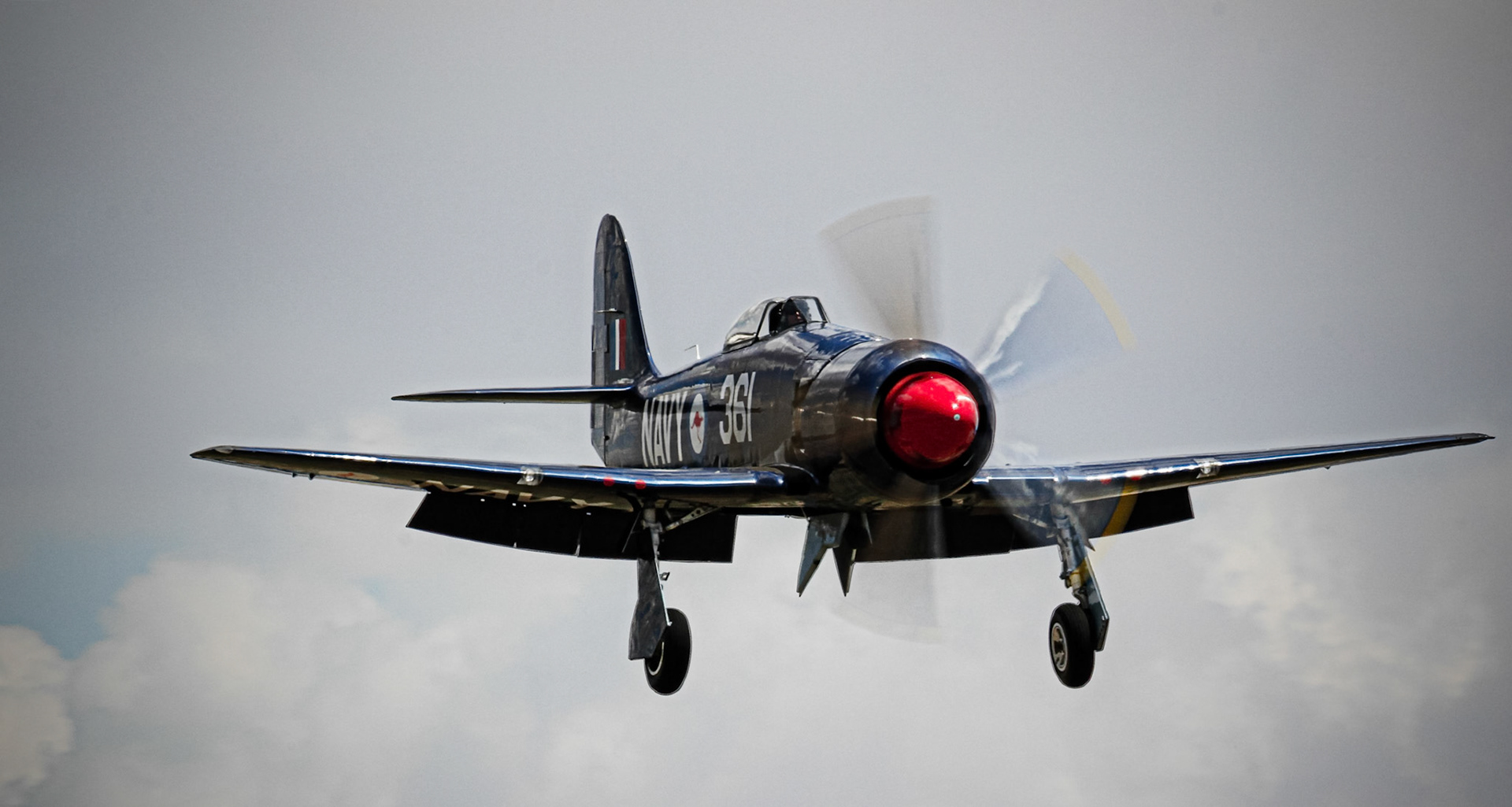 A vintage Hawker Sea Fury aircraft with "NAVY 361" markings and a red propeller hub, flying against a cloudy sky.