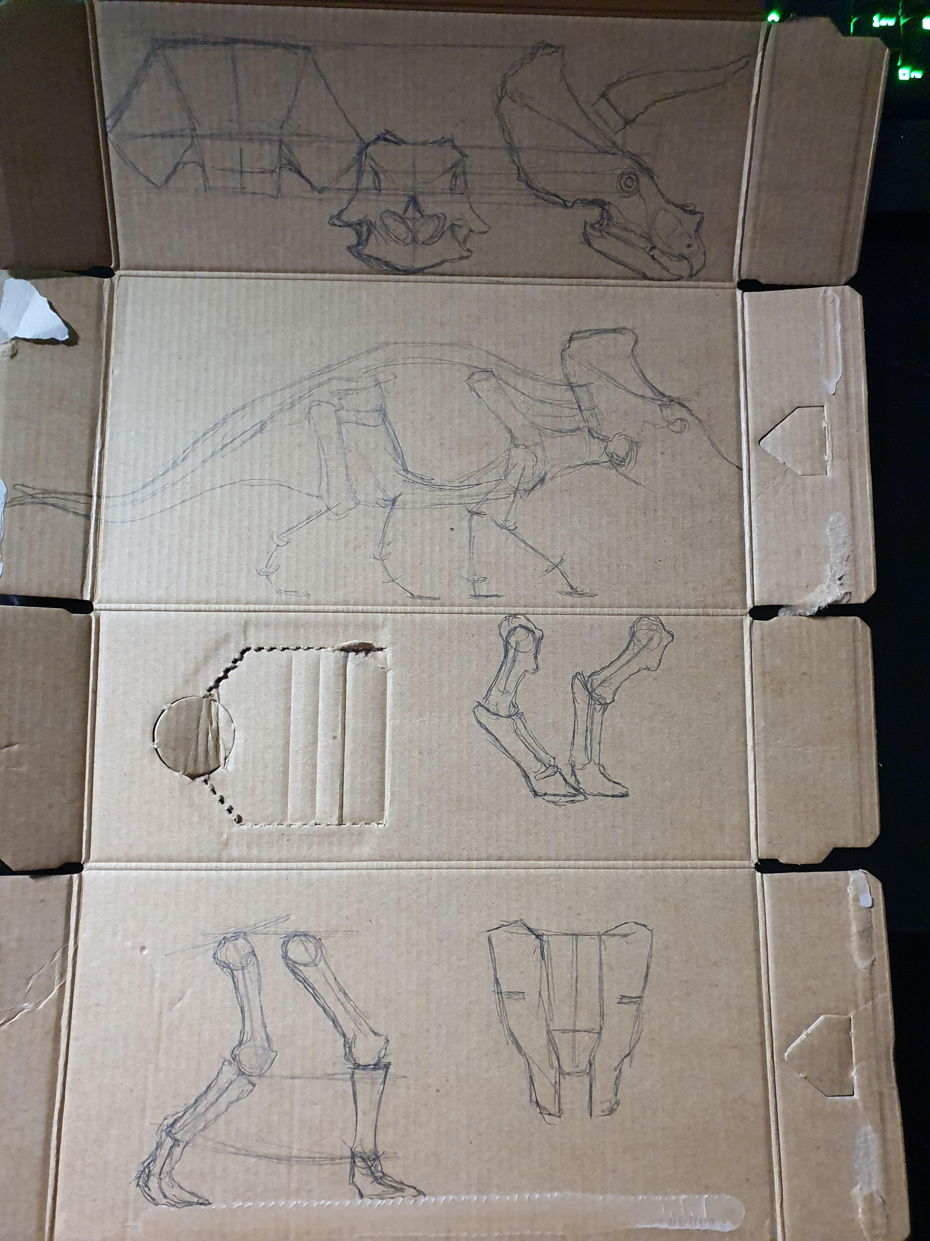 Drew out templates of the dinosaur's body on cardboard