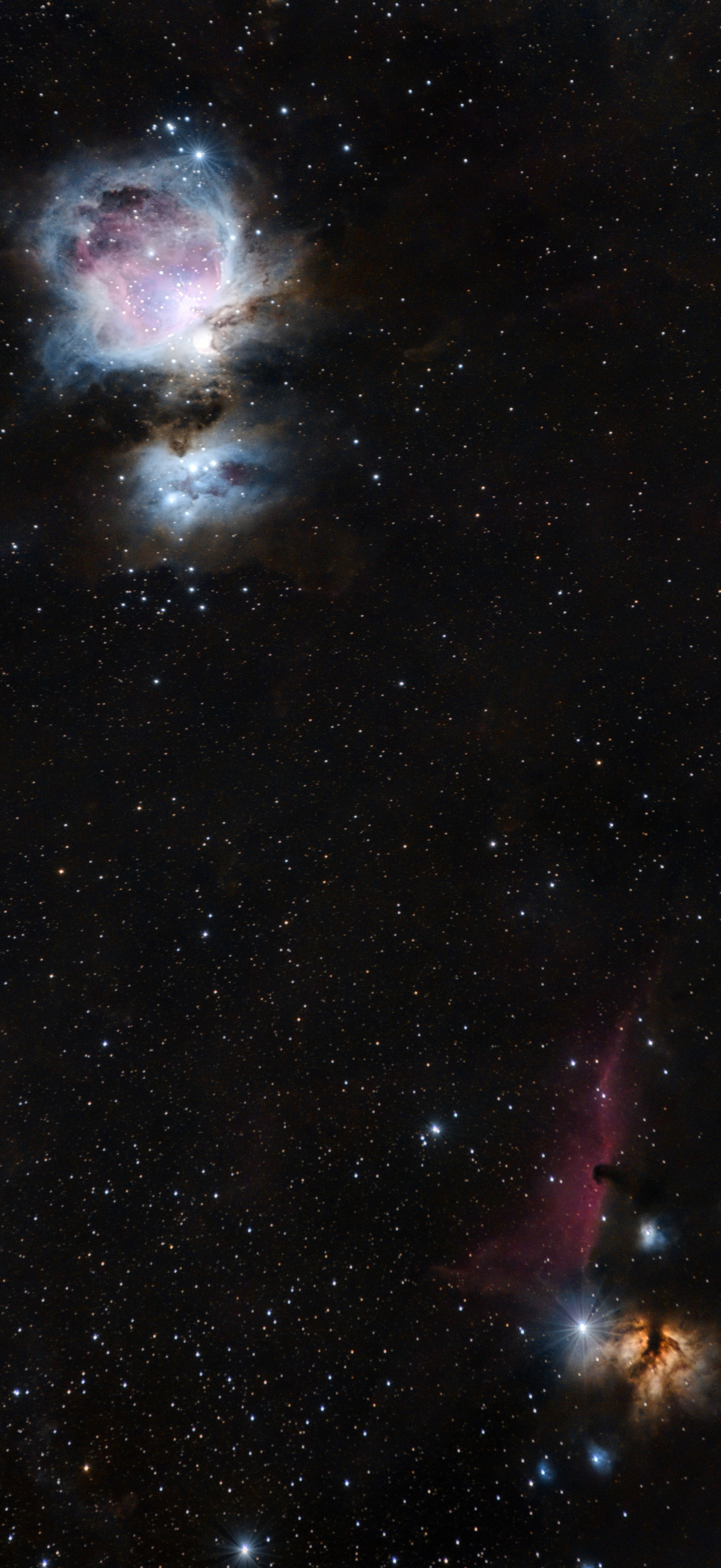 The Orion & Neighboring Nebulae