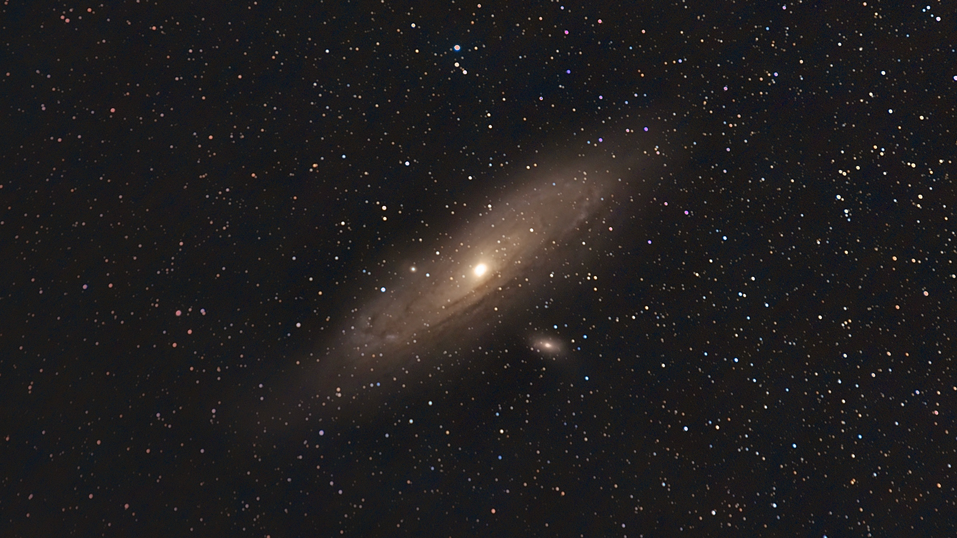 M31